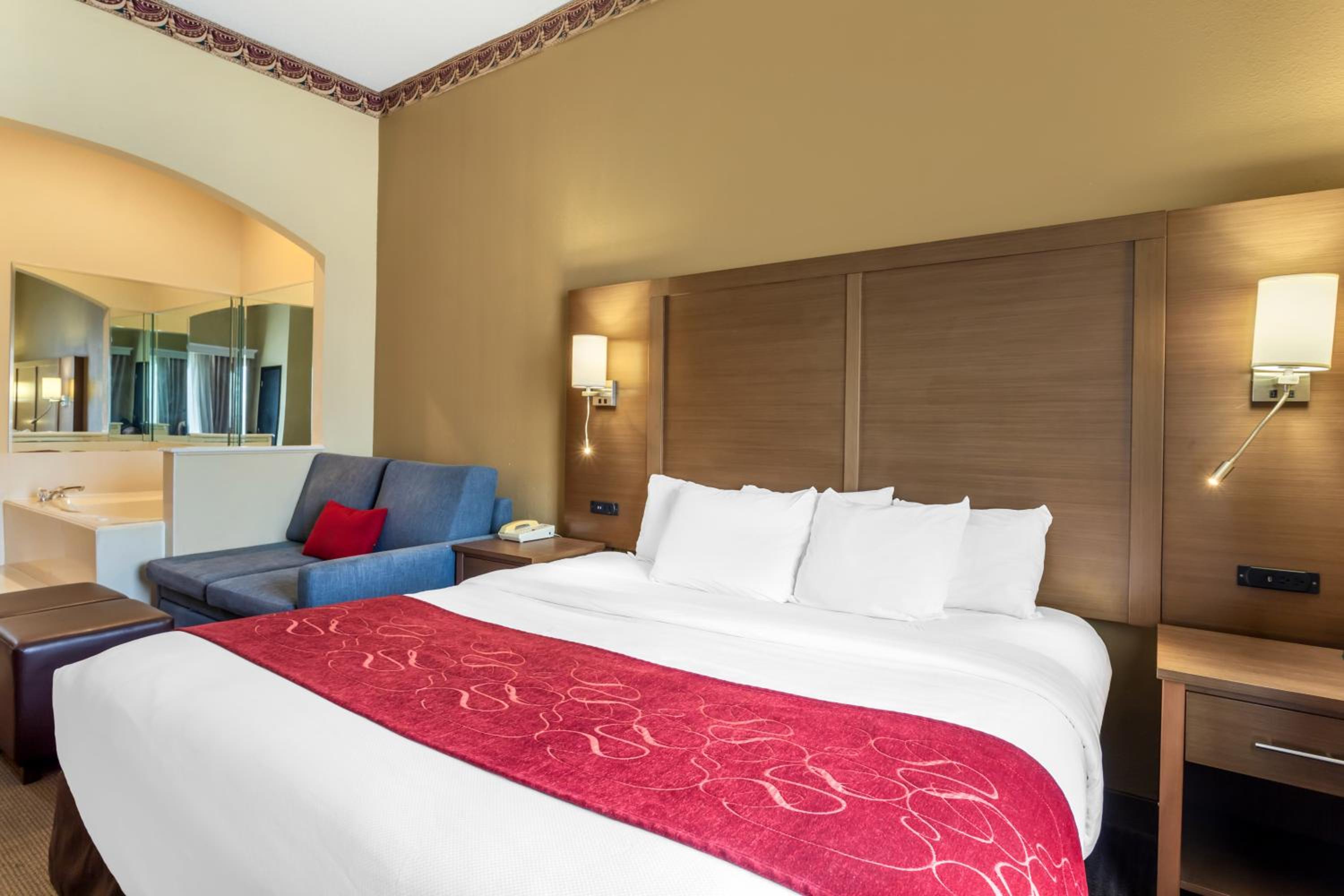 Comfort Suites Bush Intercontinental Airport - Property Image 7