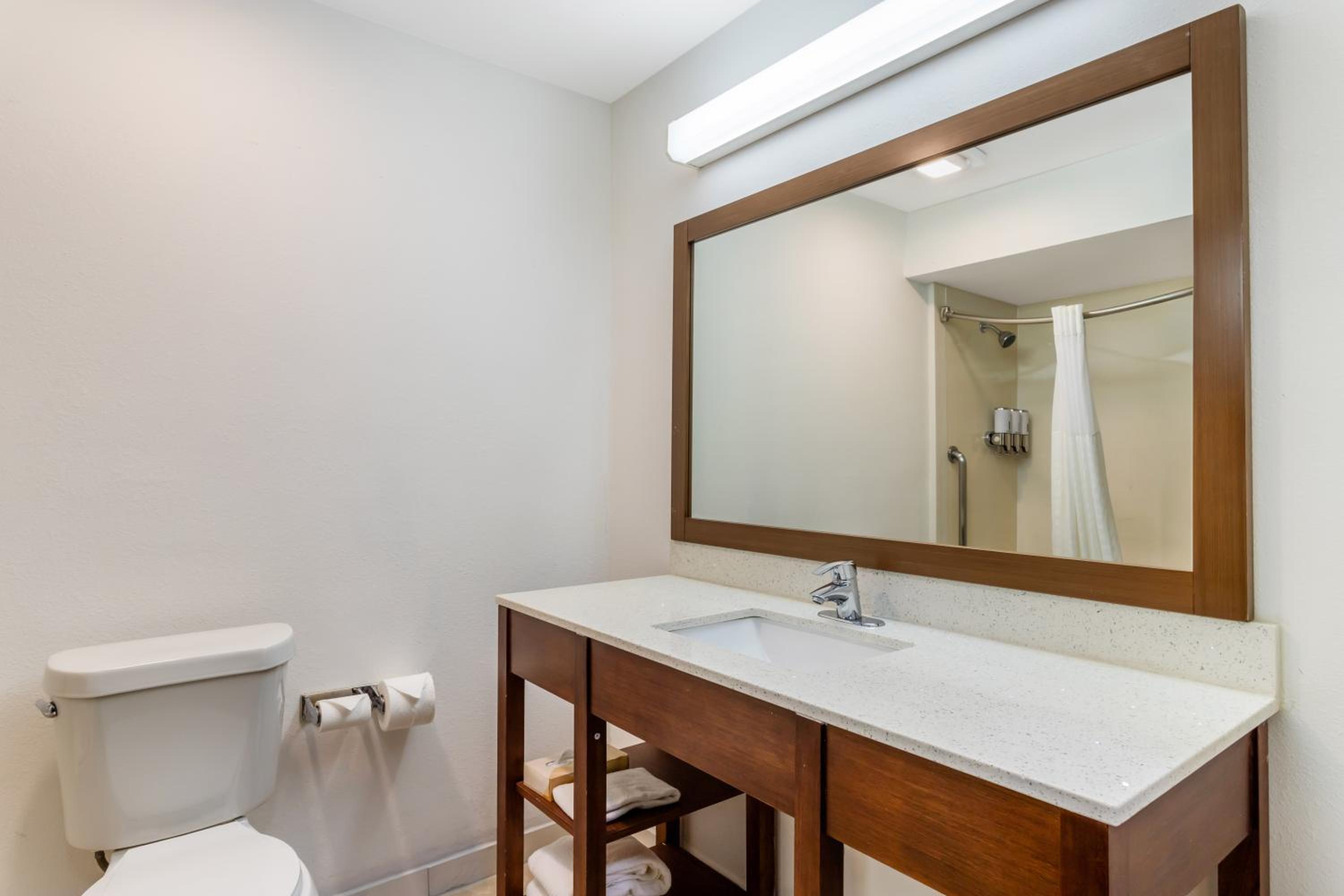 Comfort Suites Bush Intercontinental Airport - Property Image 6