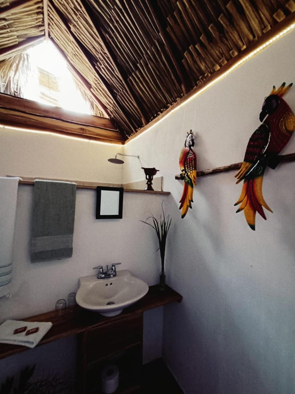 El Paraiso de Carmen