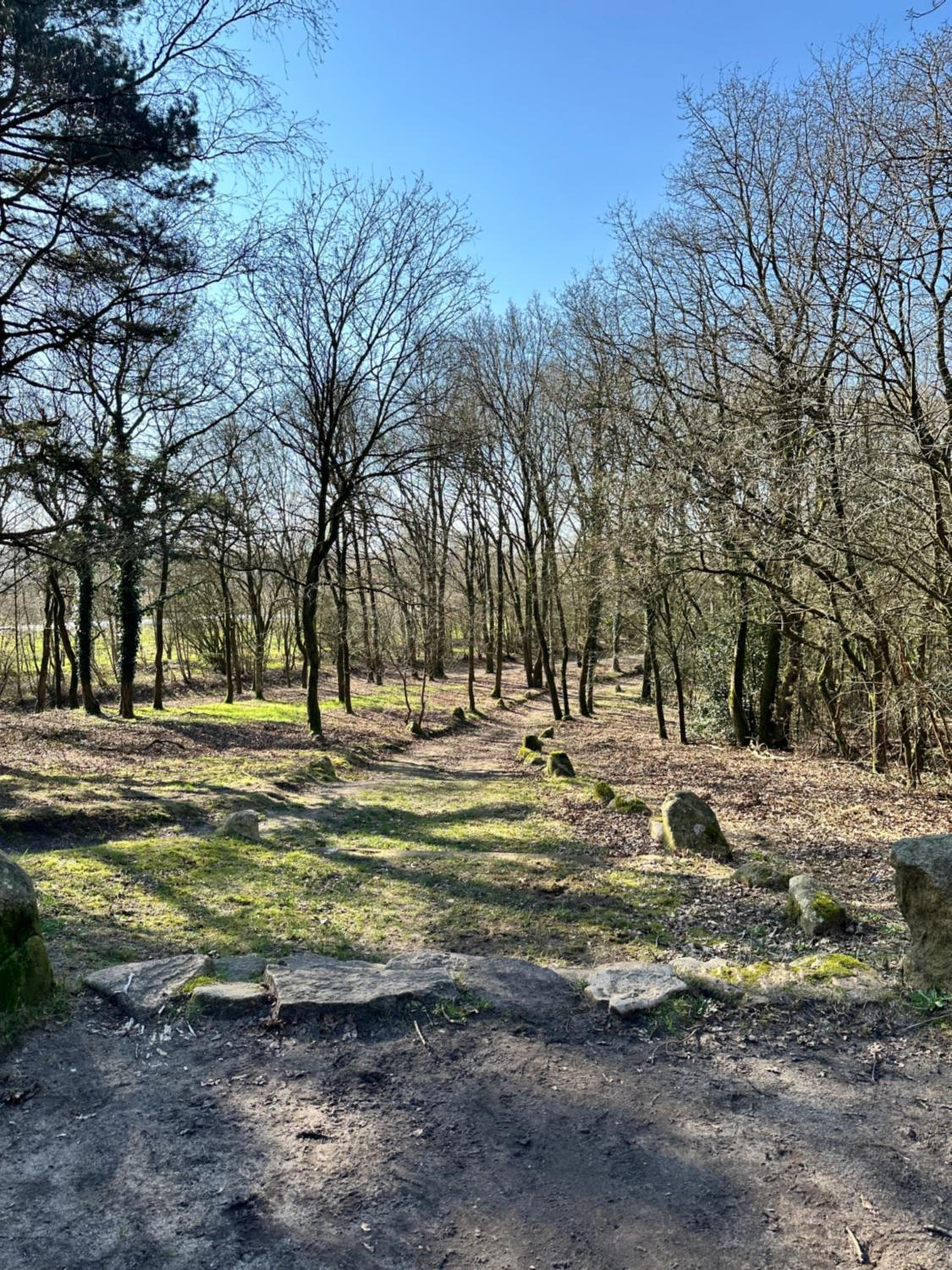 FeWo am Tillysee in Wardenburg