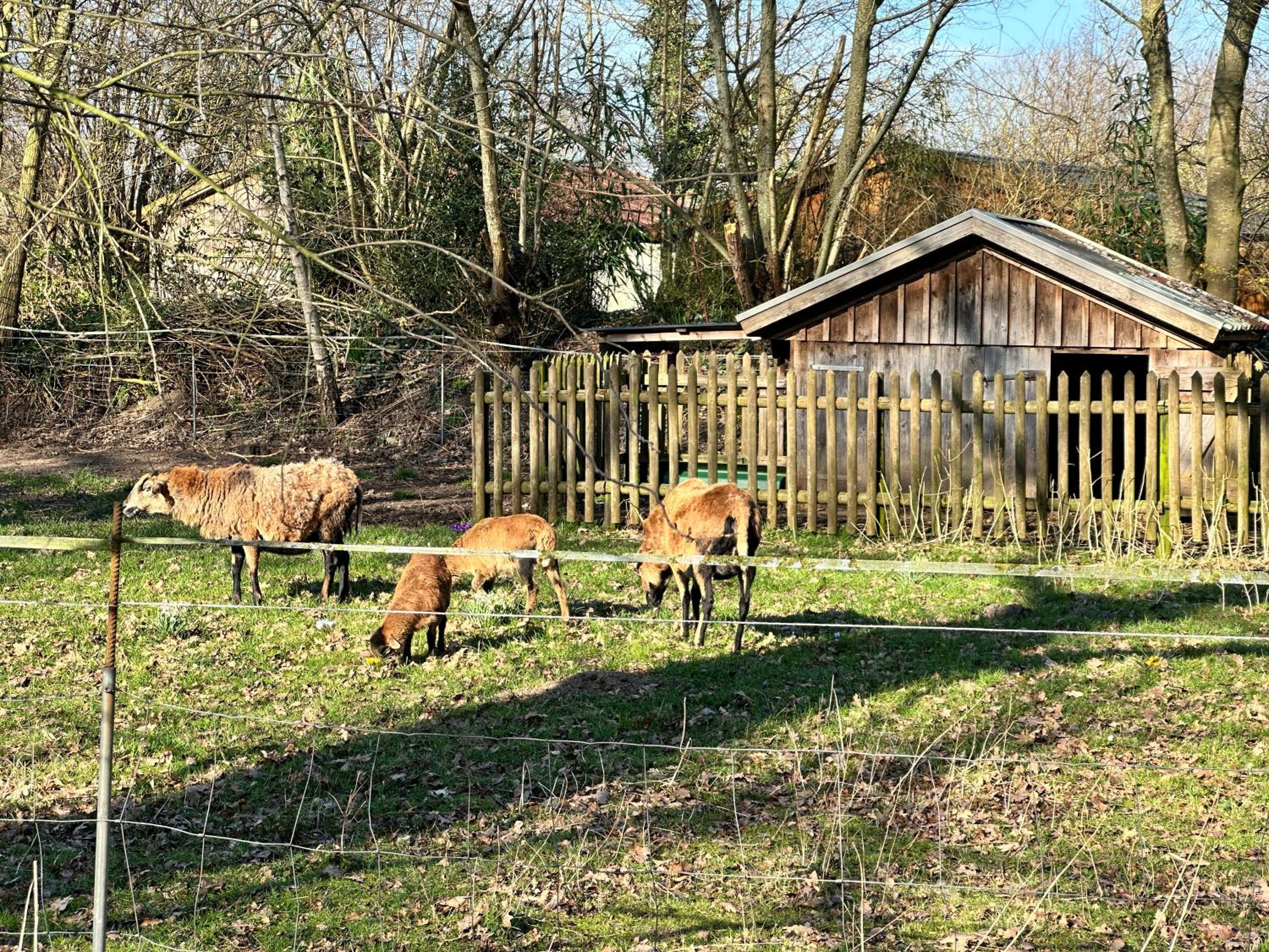 FeWo am Tillysee in Wardenburg