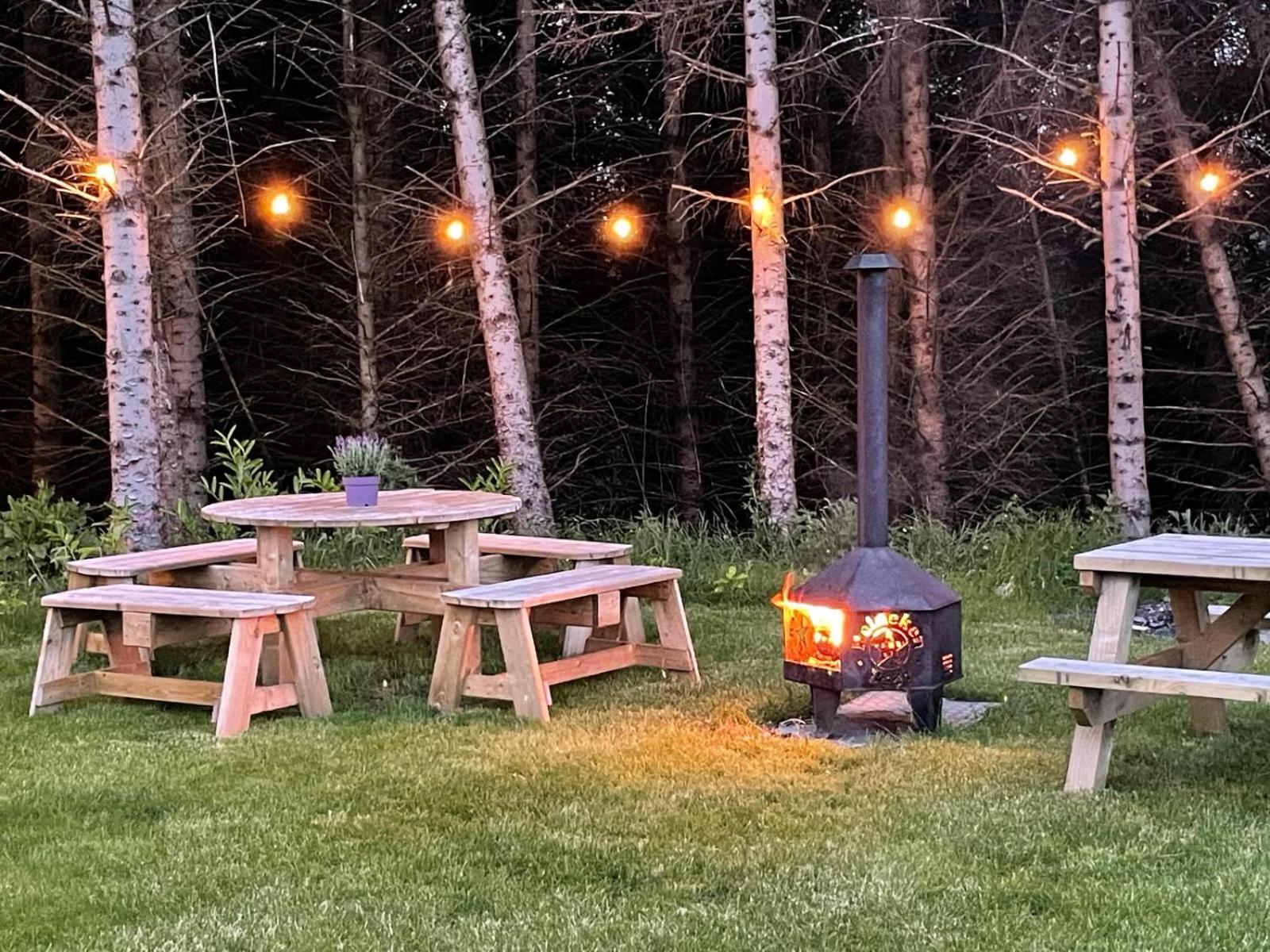 Woodland lodge green room view 3