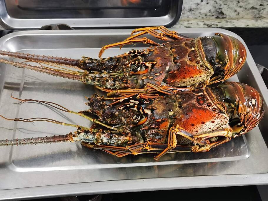 Apartmán Mariscos
