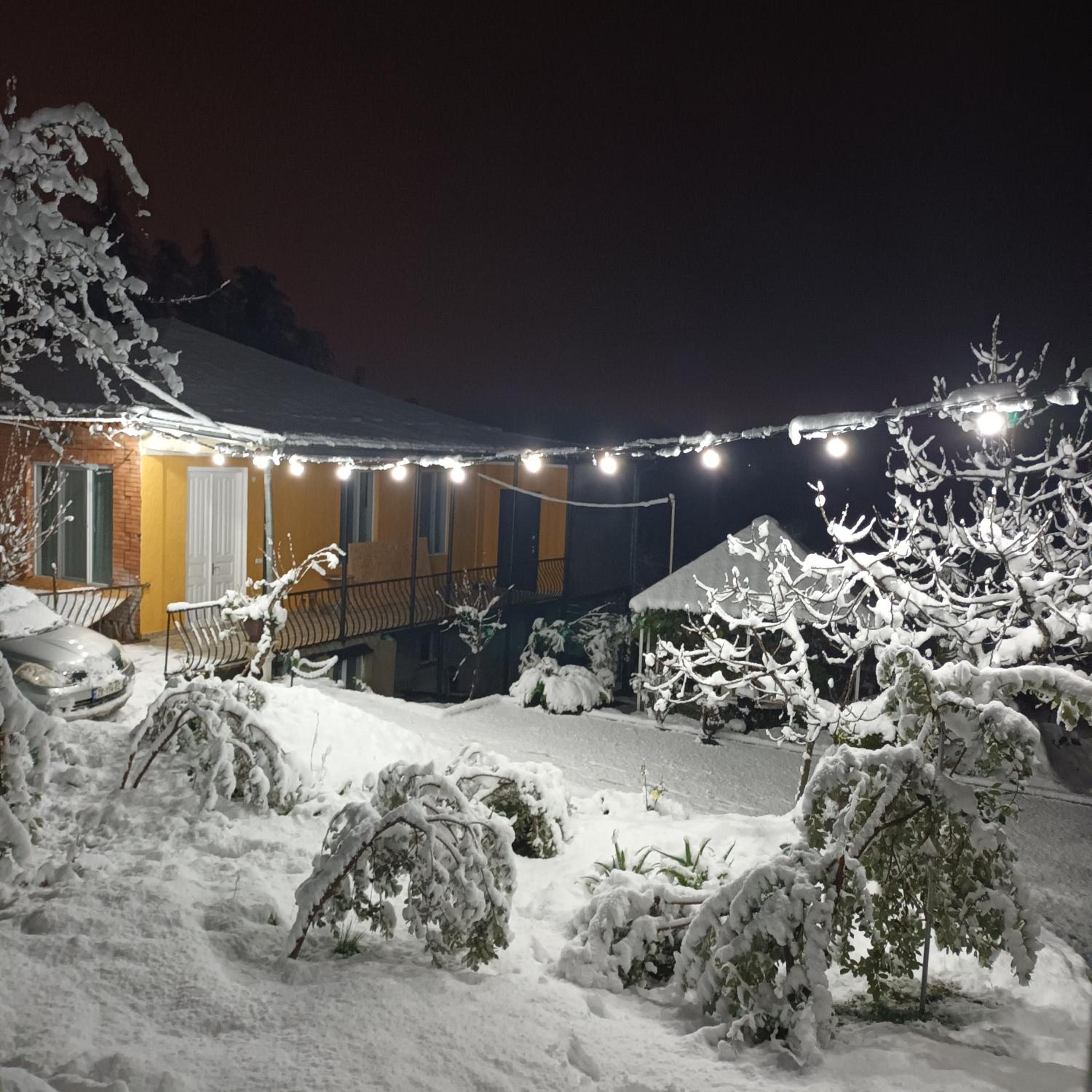 Magdan house, photo 87