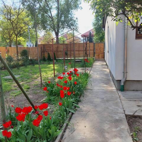 Újszeged apartman