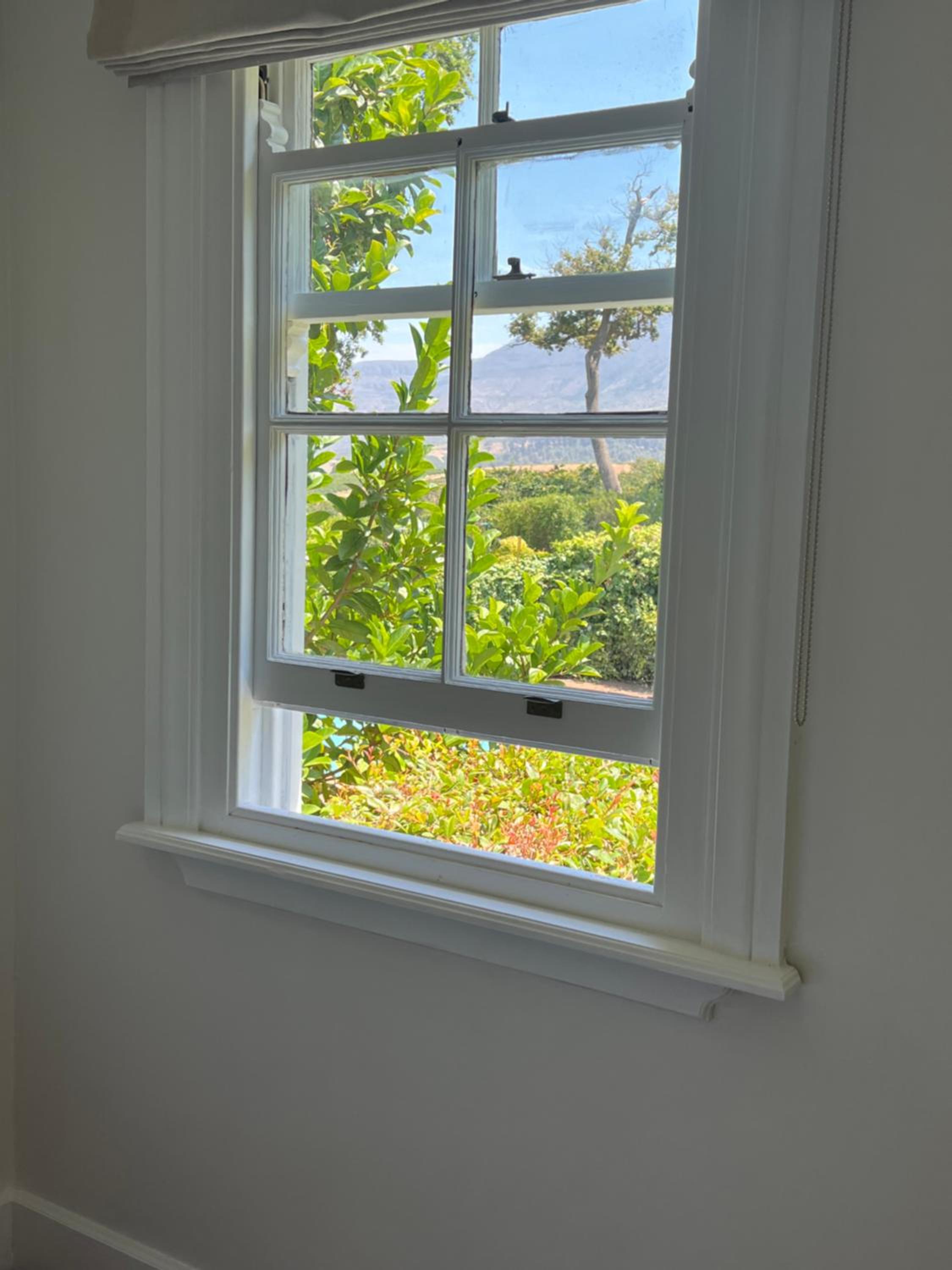 Cute one bedroom garden cottage - Wonderful views, Vineyard access, tranquil garden