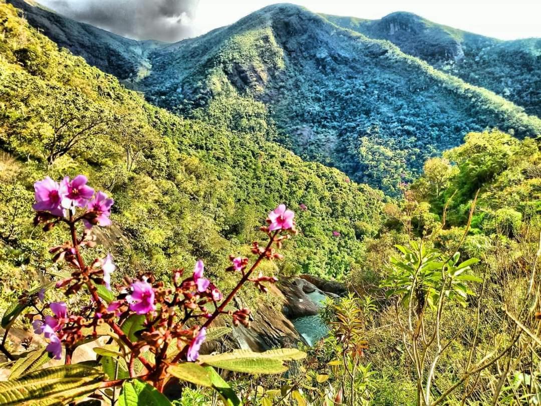 Encanto da Montanha Hospedagem