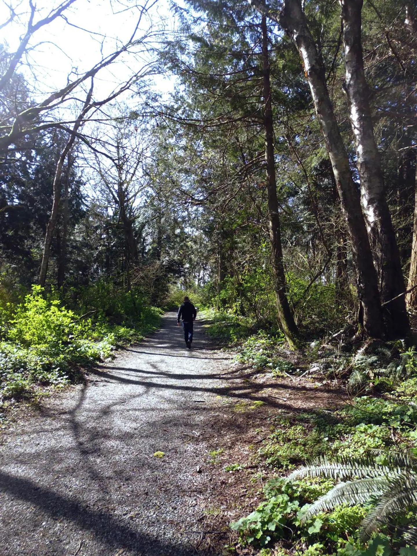 Photo 45