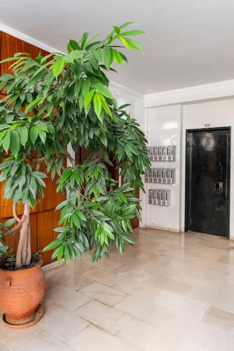 Alimos Seabreeze apartment