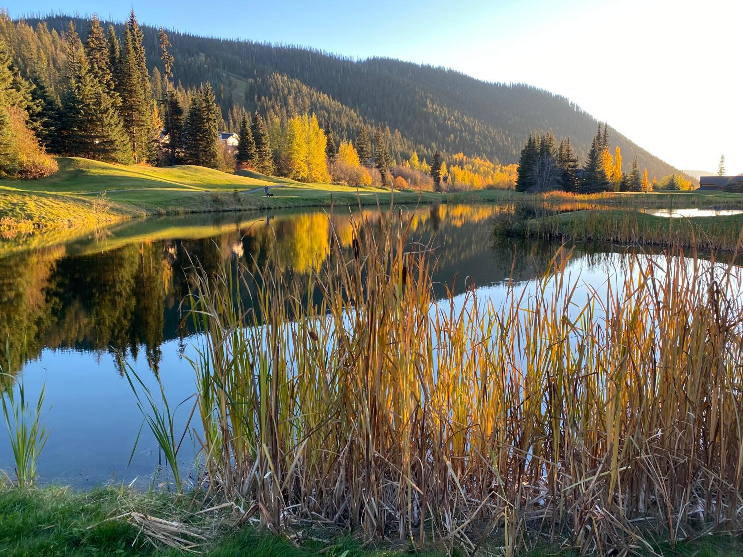Morrisey Chalet at Sun Peaks