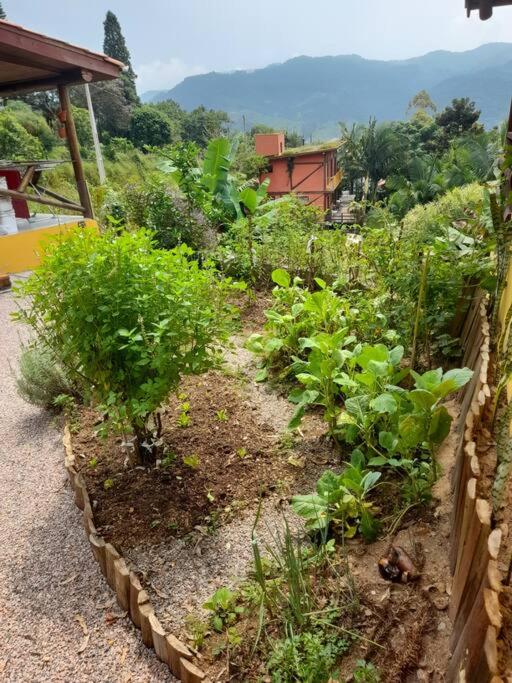 Casa da Montanha: Minha Casa, tua Casa!