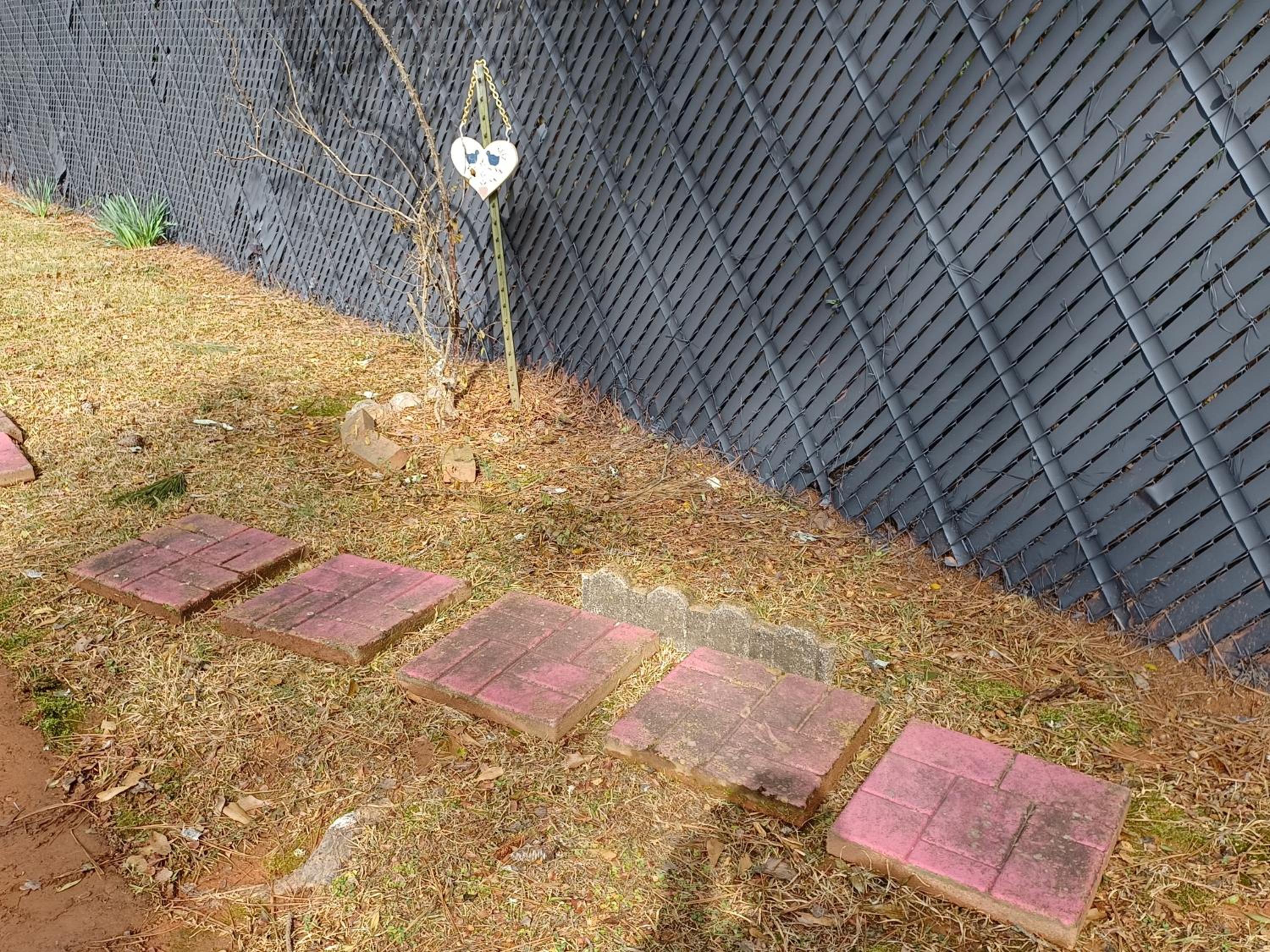 Photo 38