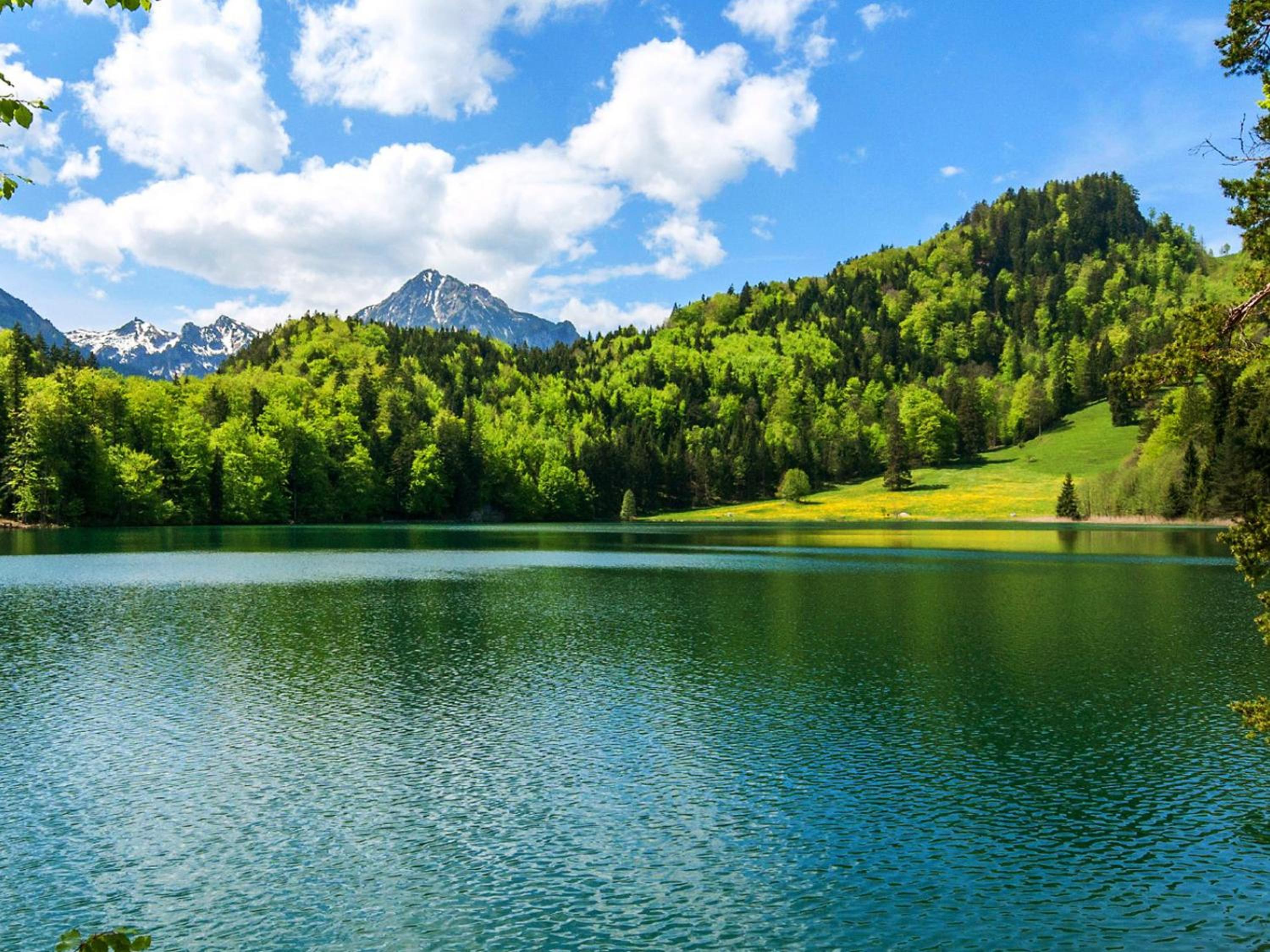 Allgäu Luxury Apartment Berglöwe mit Sauna