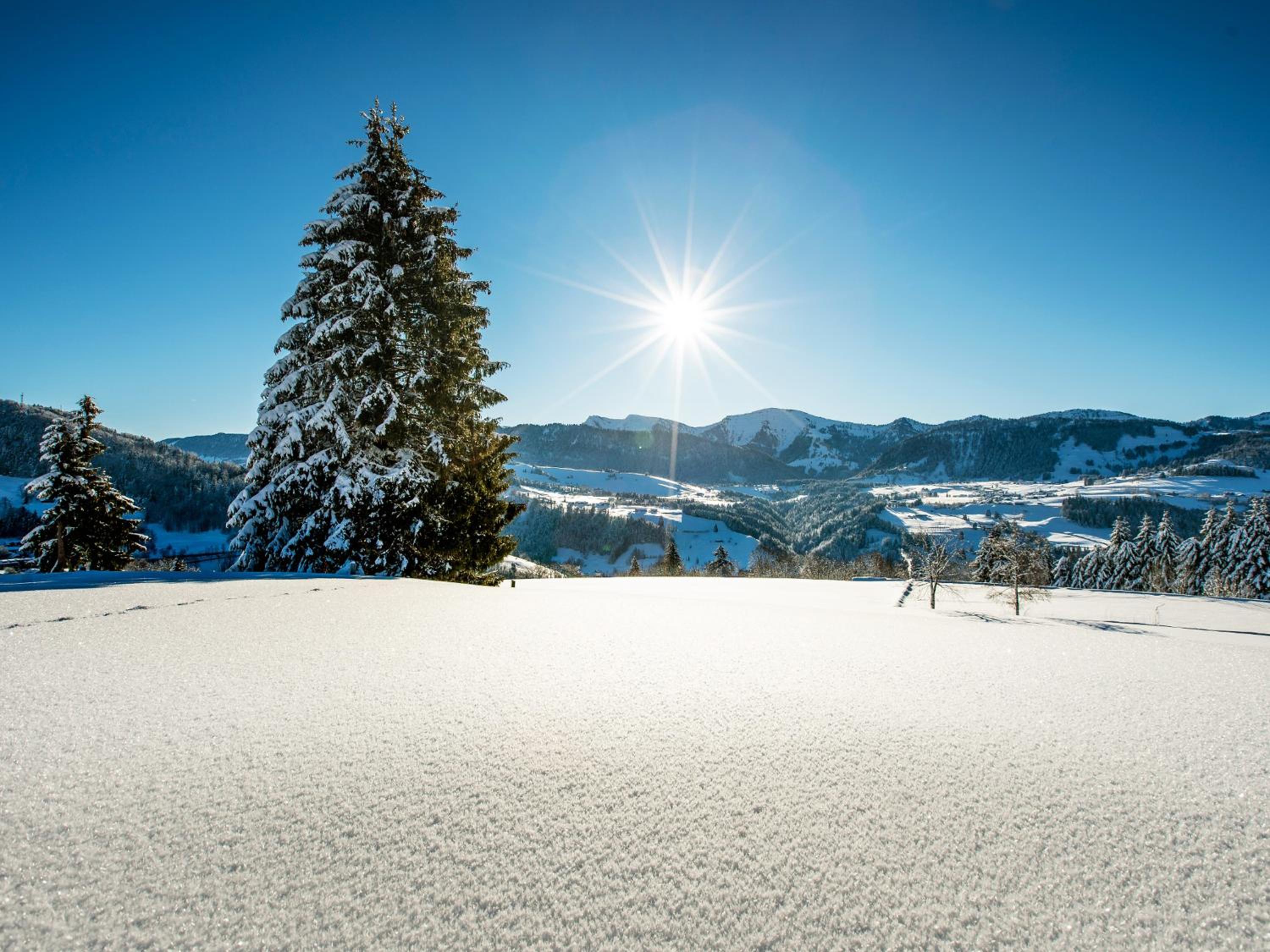 Allgäu Luxury Apartment Berglöwe mit Sauna