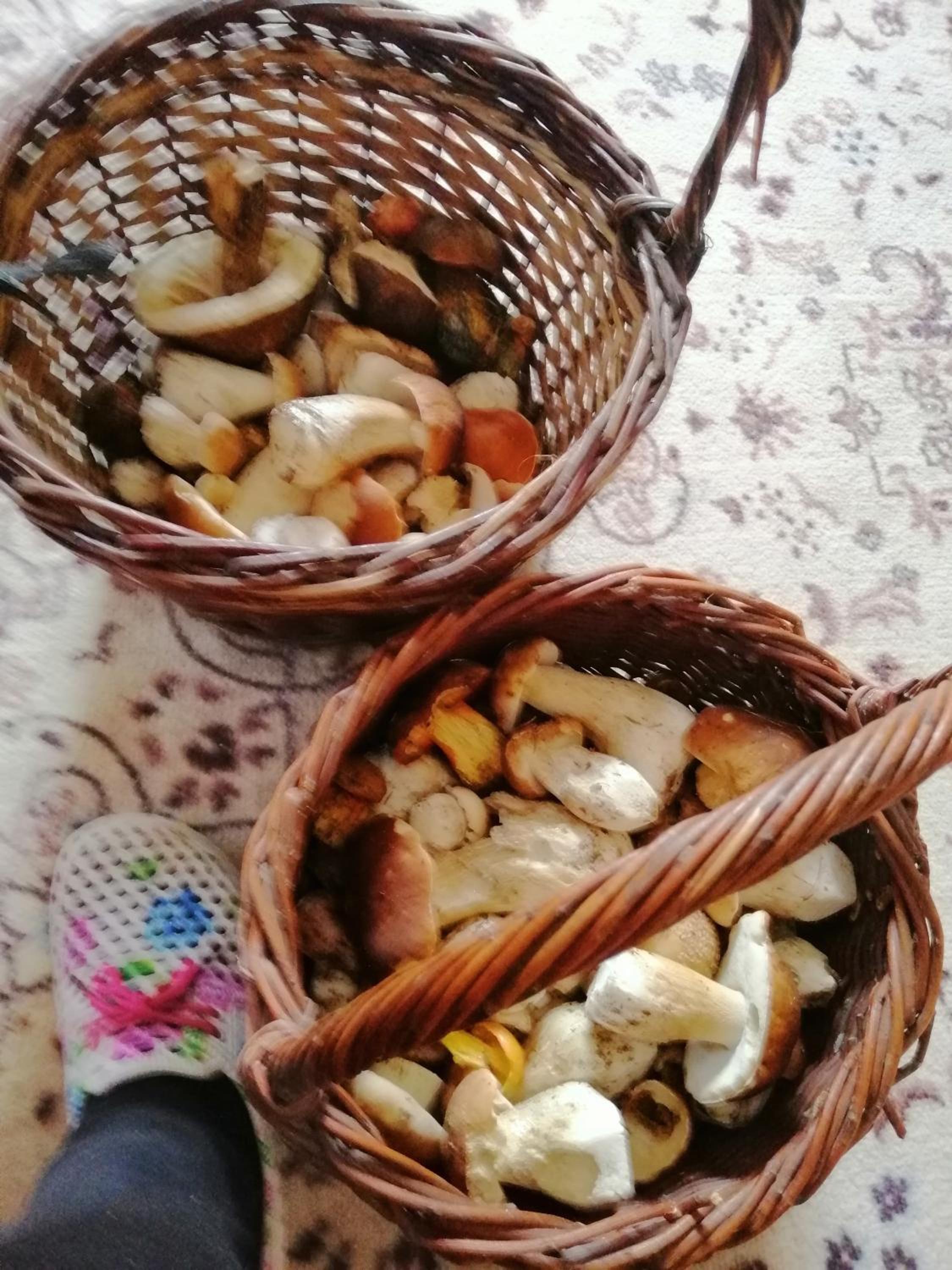 Penzion JURA
