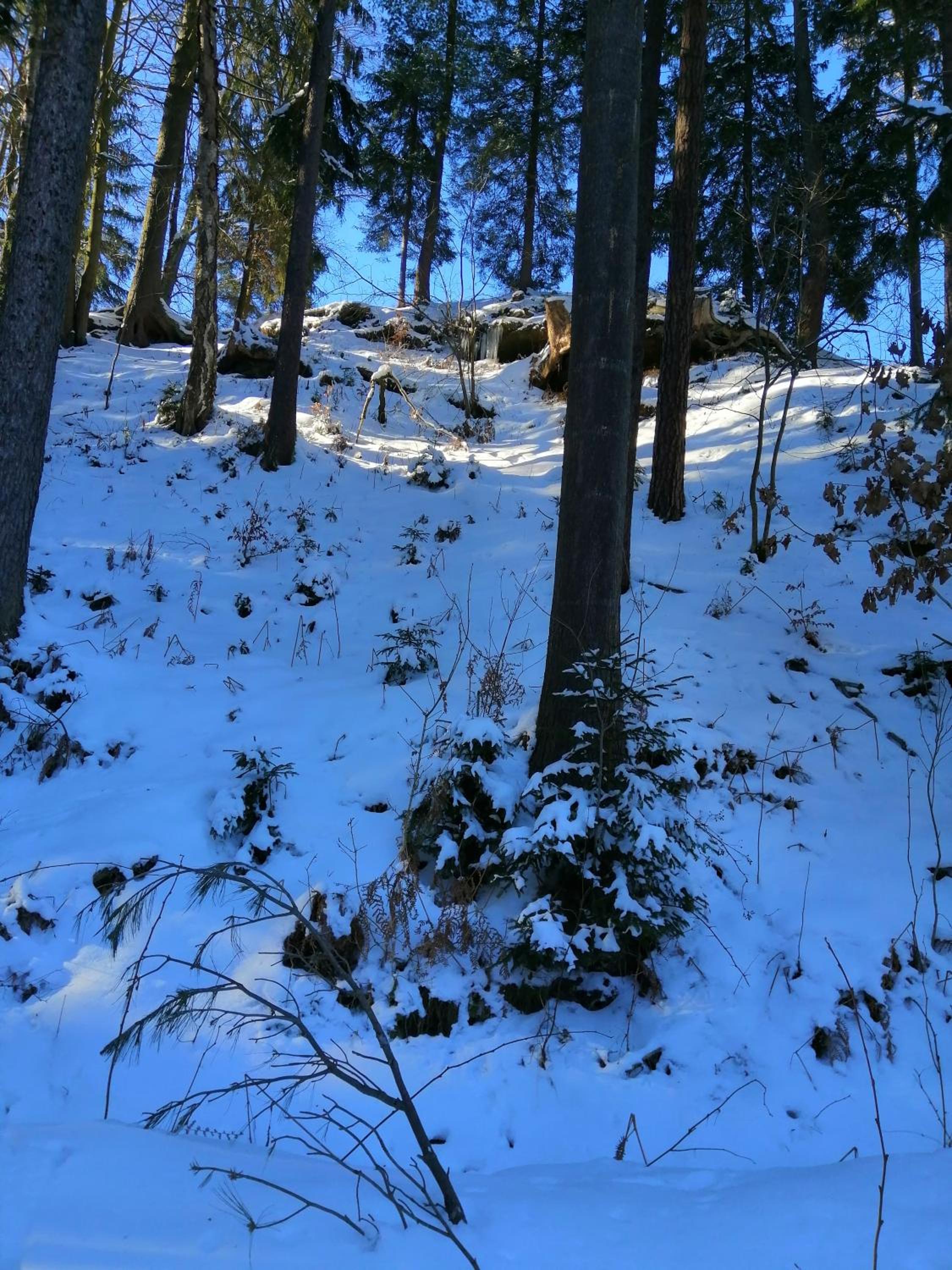 Penzion JURA