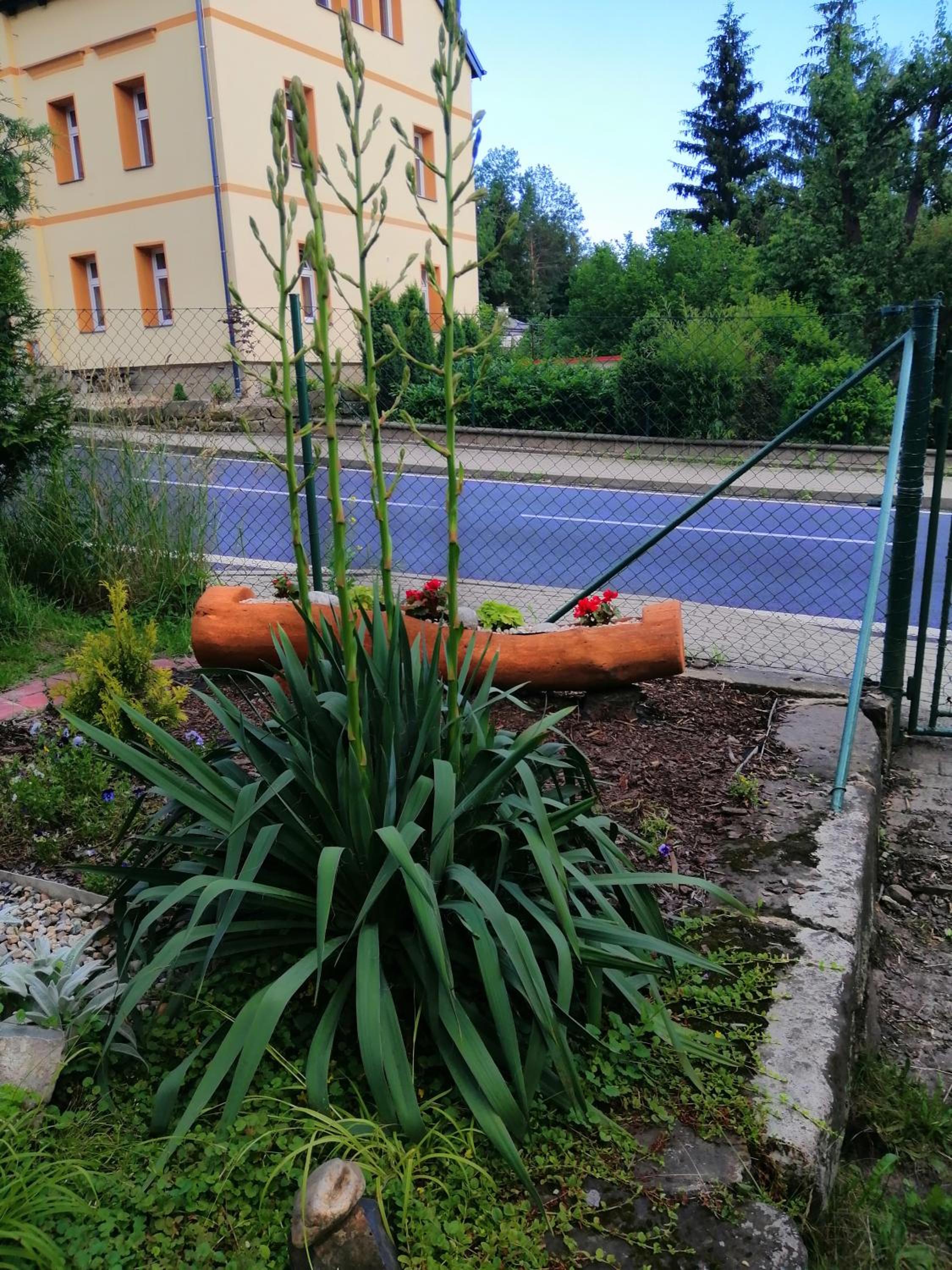 Penzion JURA