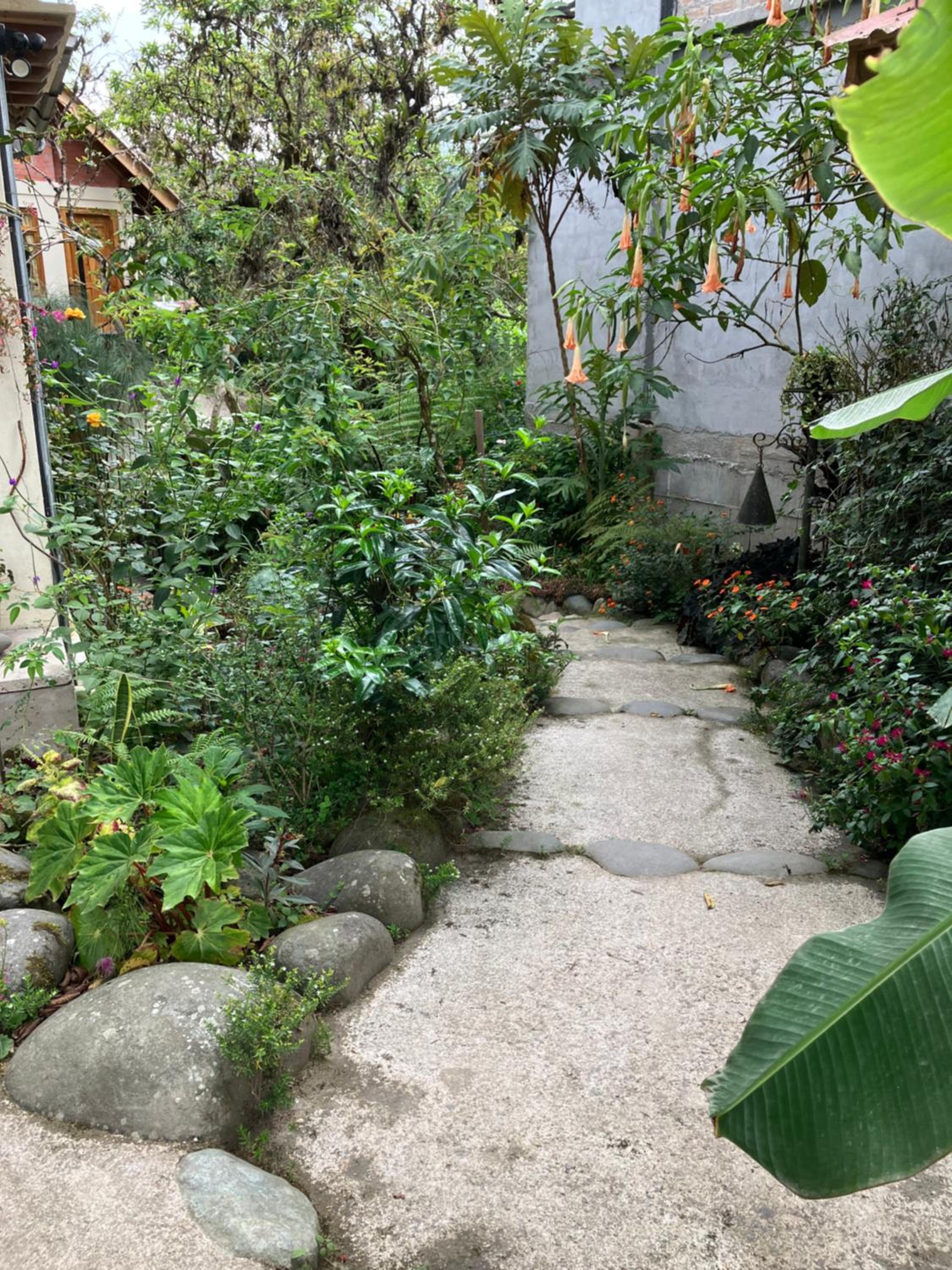 Photo 28