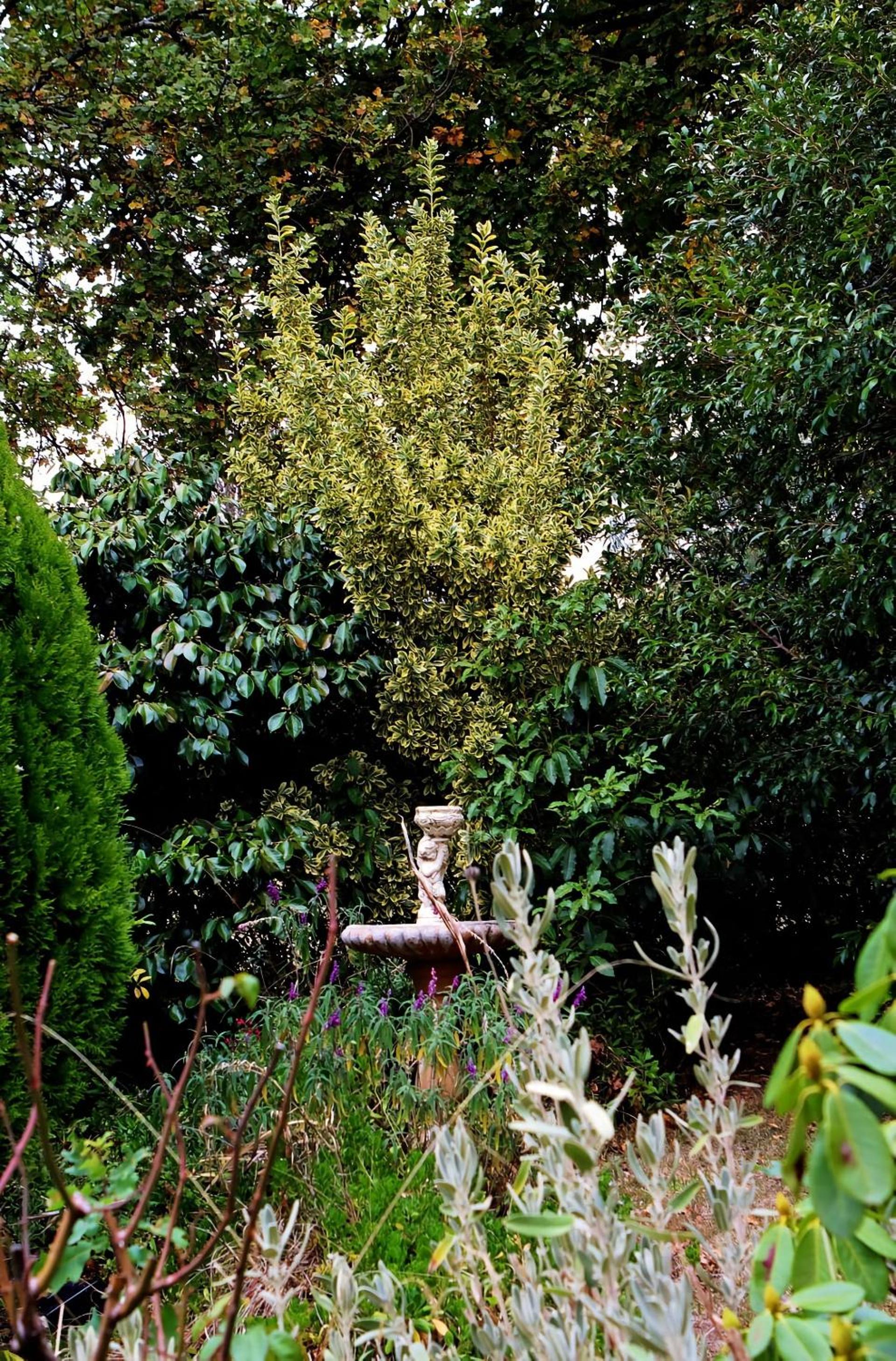 Borough Country House