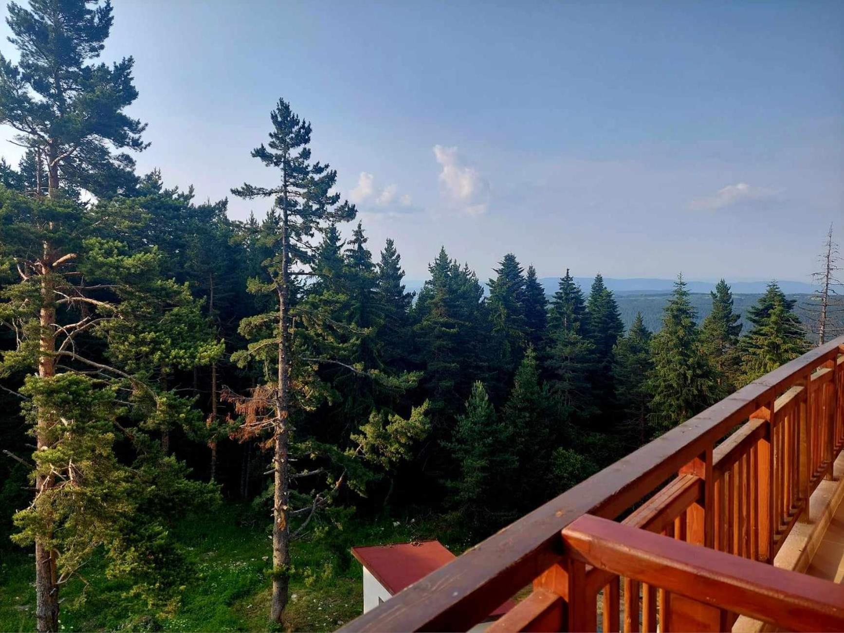 Art Studio Borovets Semiramida