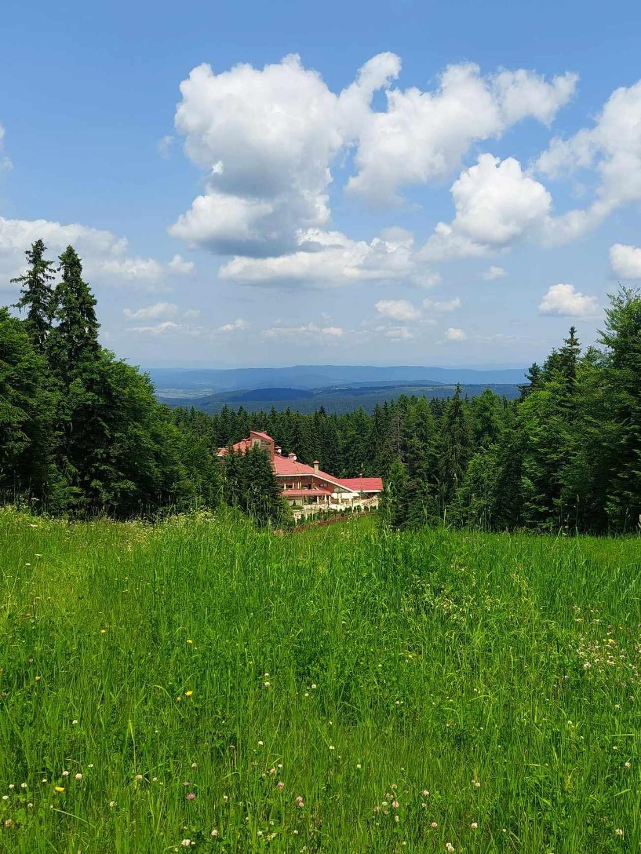 Art Studio Borovets Semiramida
