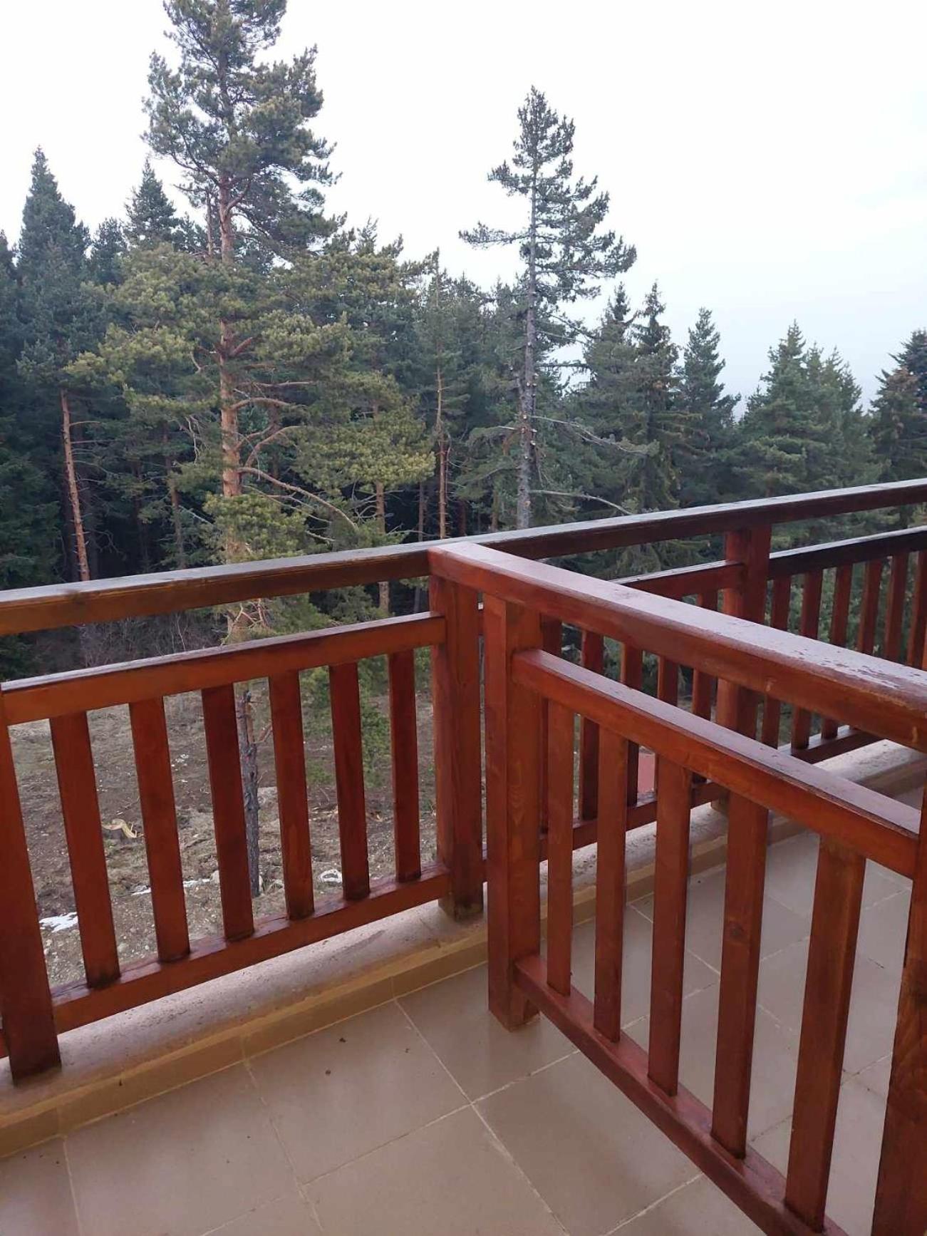 Art Studio Borovets Semiramida