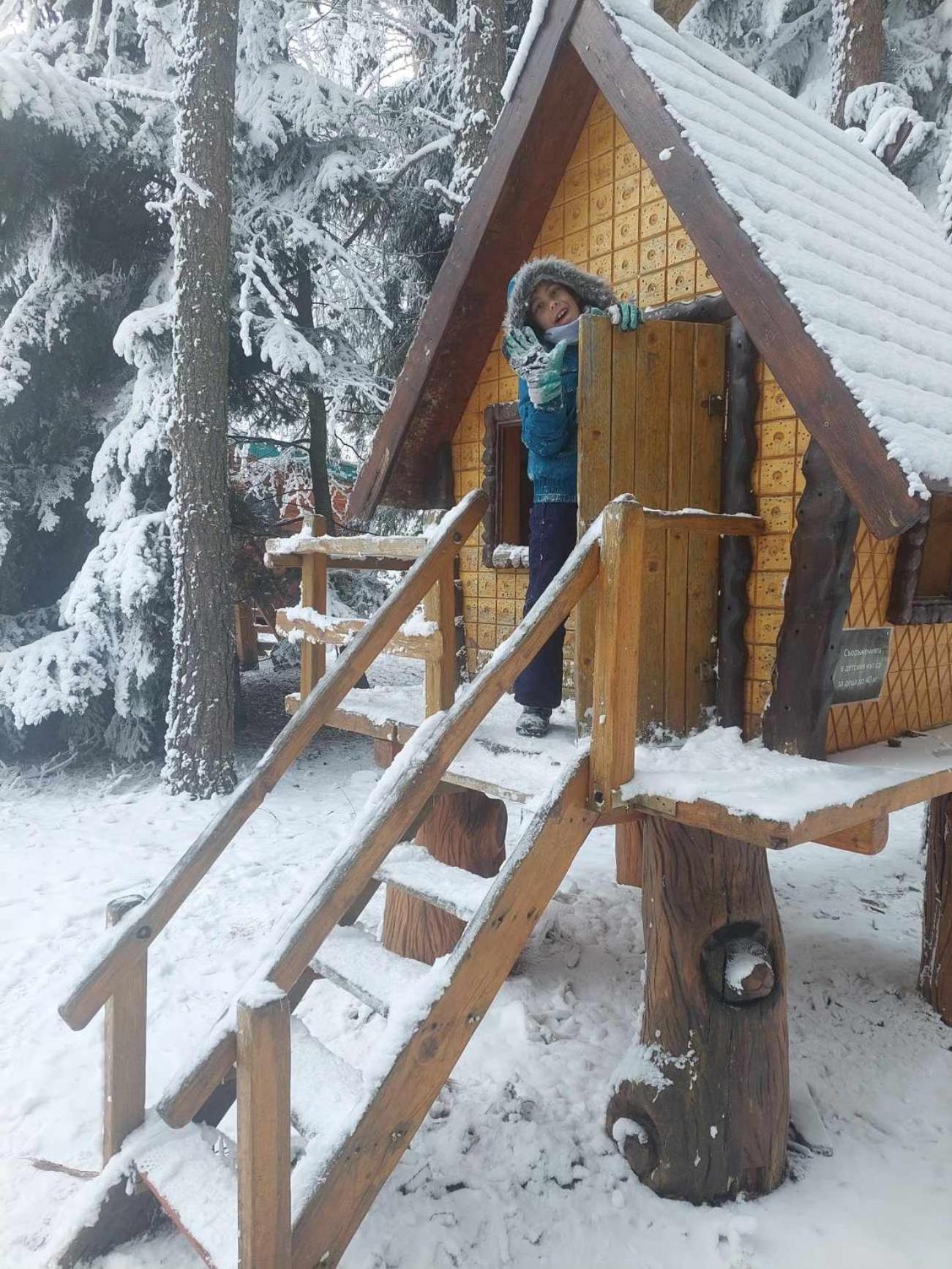 Art Studio Borovets Semiramida