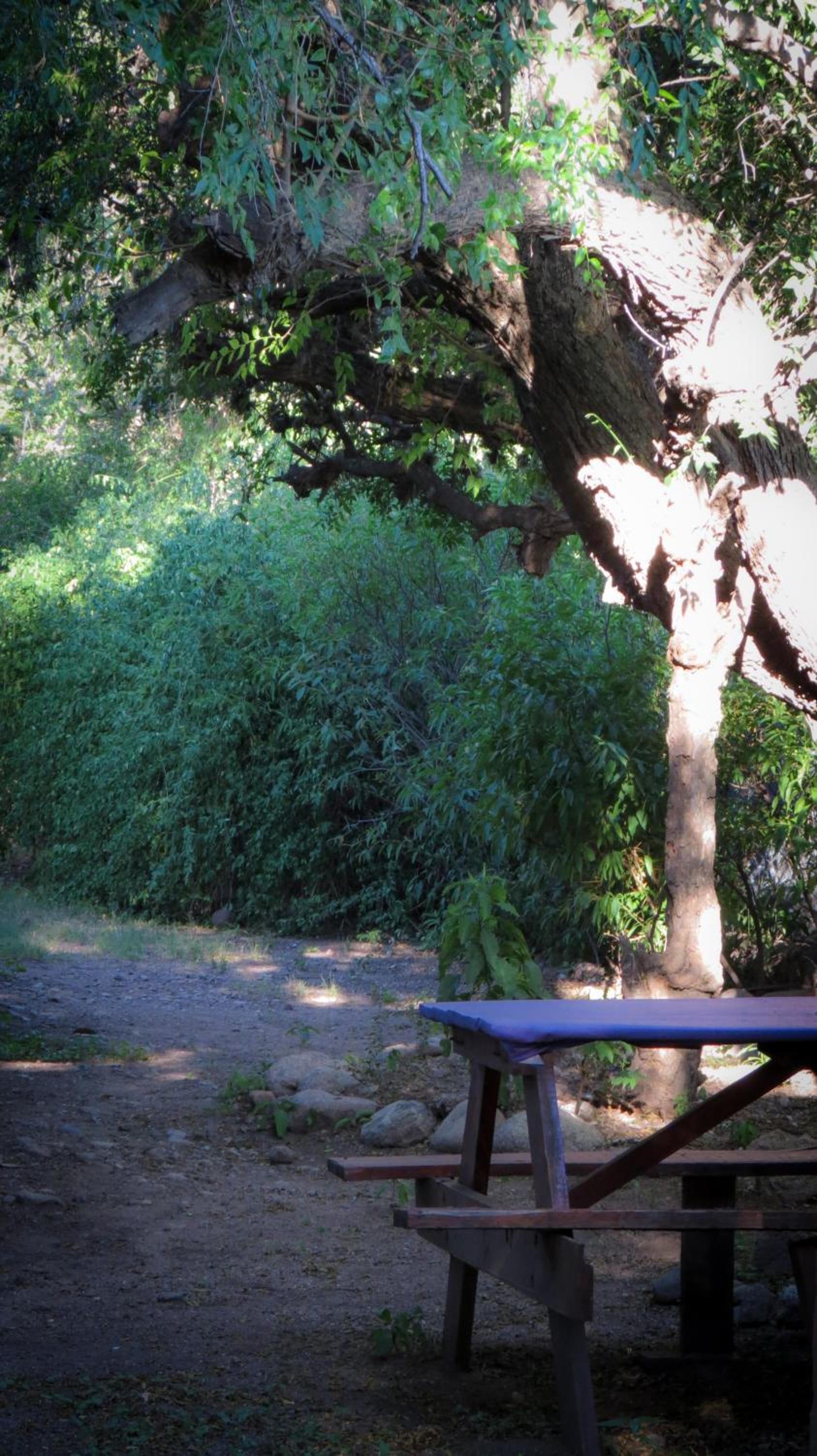 El Colibrí - Quebrada de la Luna.