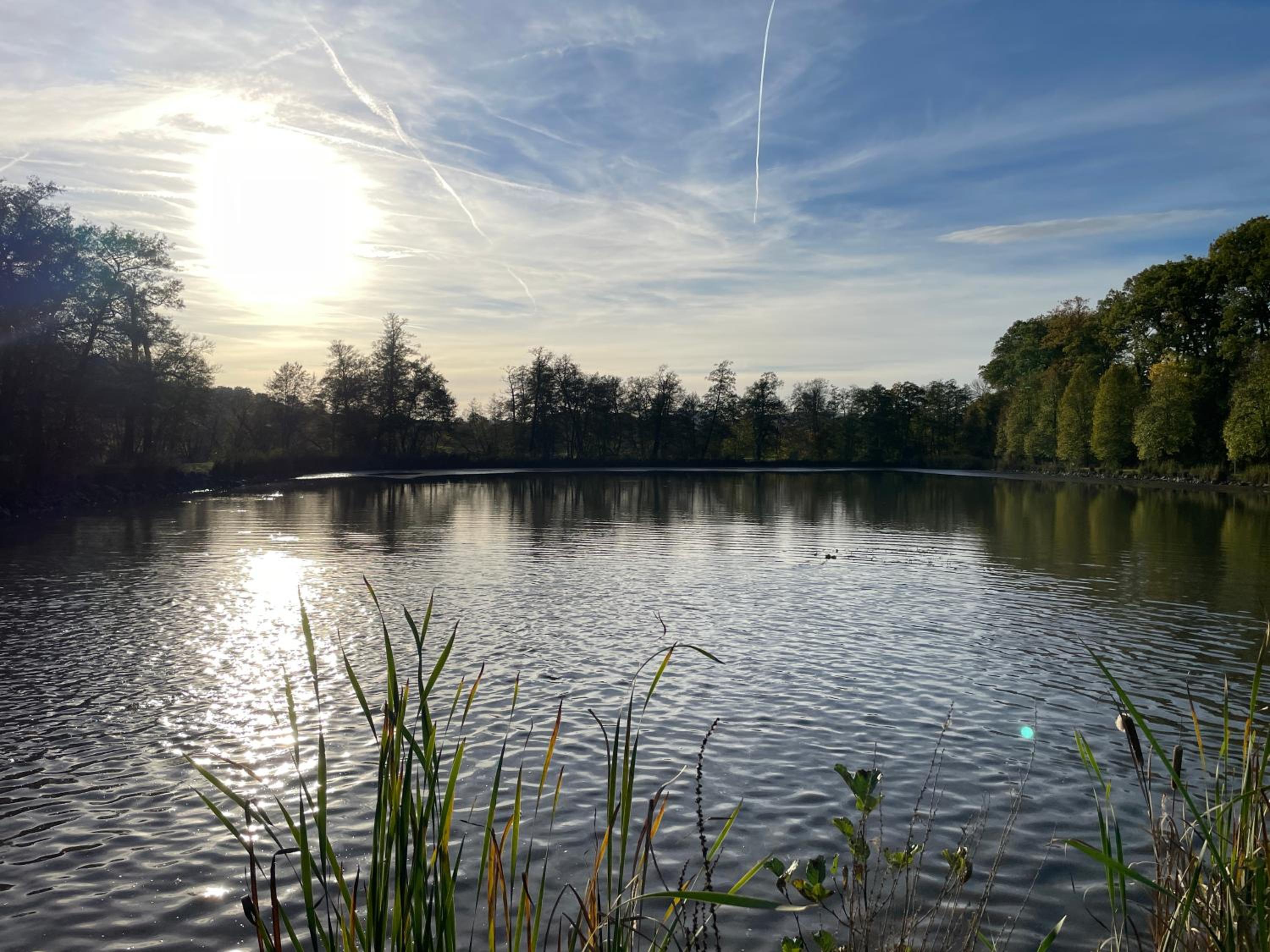 Naturnahe Unterkunft in der Burgenstadt Schlitz