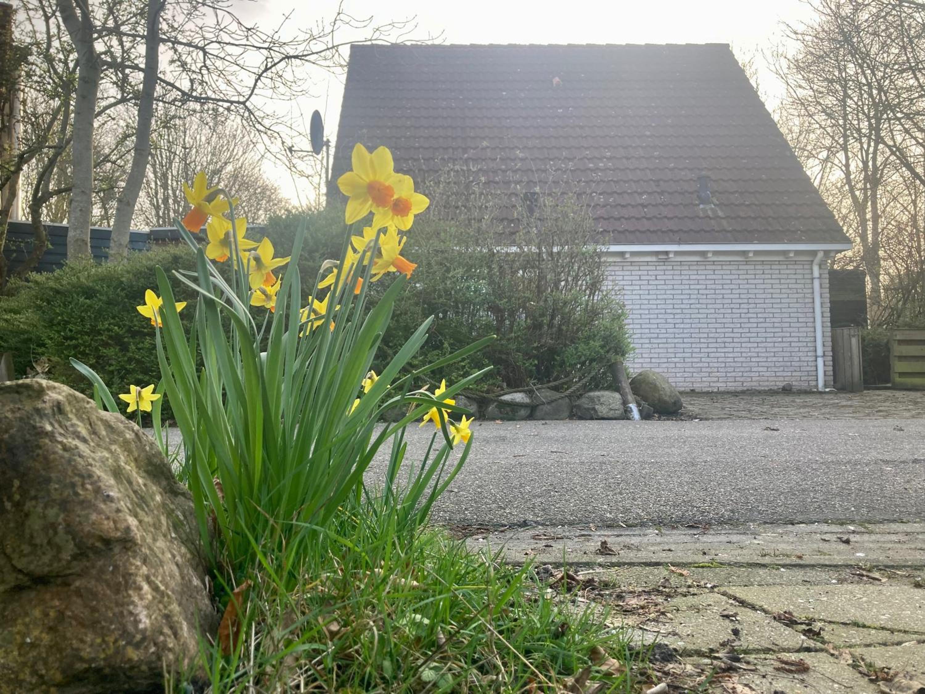 8-person house with fitted kitchen, sauna, and beautiful garden view 2