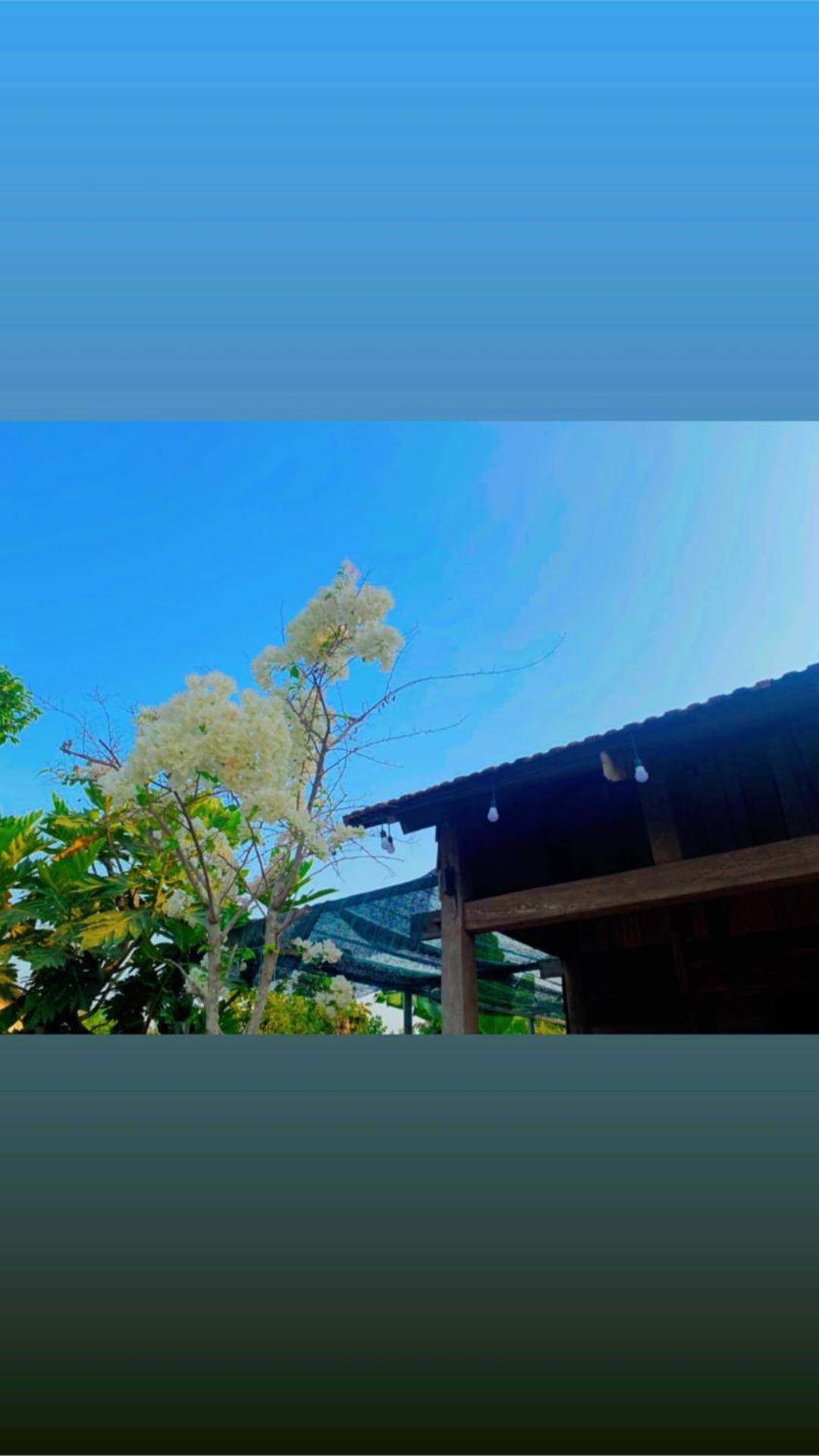 LA'S FARMSTAY