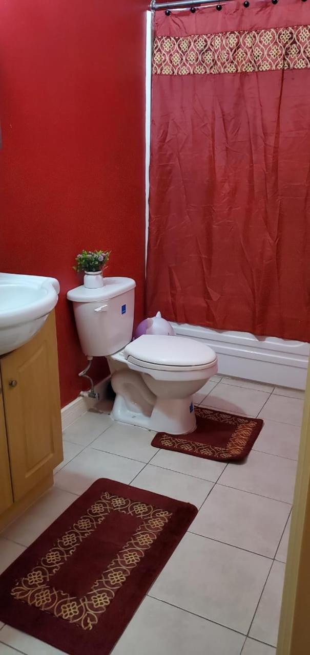 Finest Accommodation Caribbean Estate C48 Piton Place Dominica Portmore St Catherine view 2
