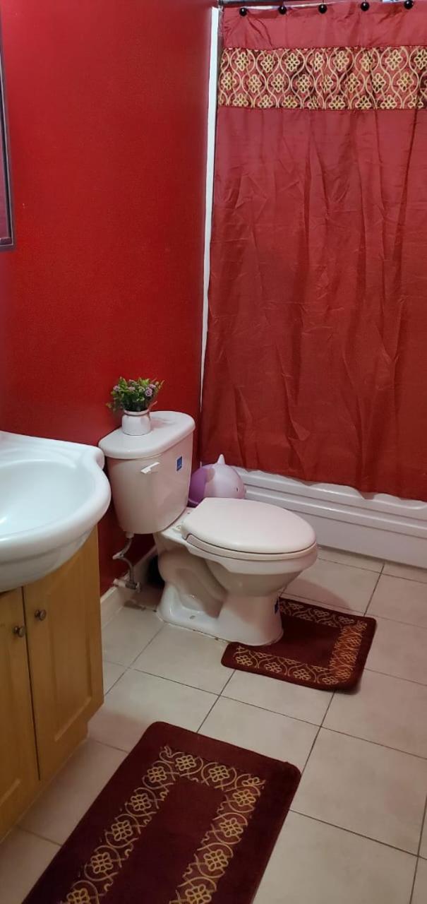 Finest Accommodation Caribbean Estate C48 Piton Place Dominica Portmore St Catherine view 5