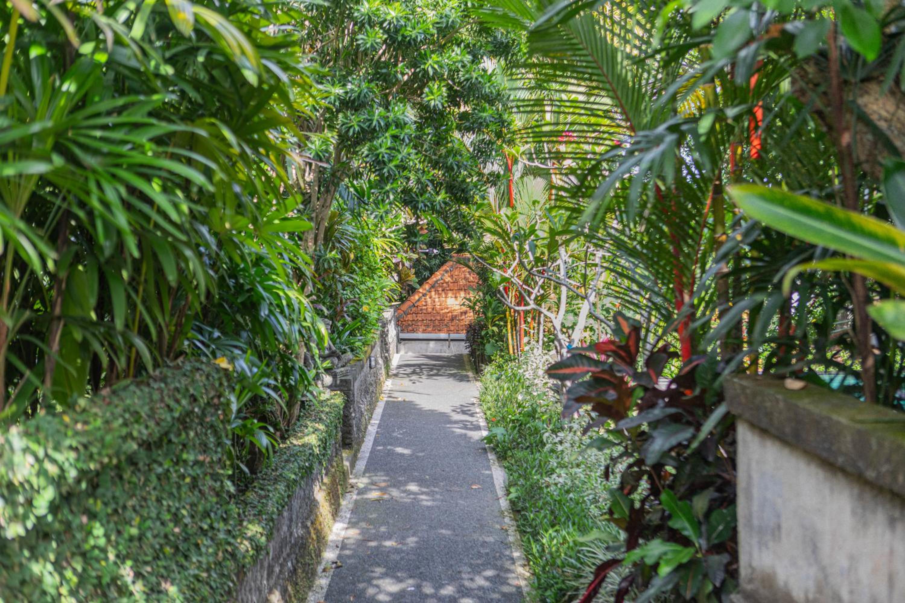 Sari Bamboo Villas