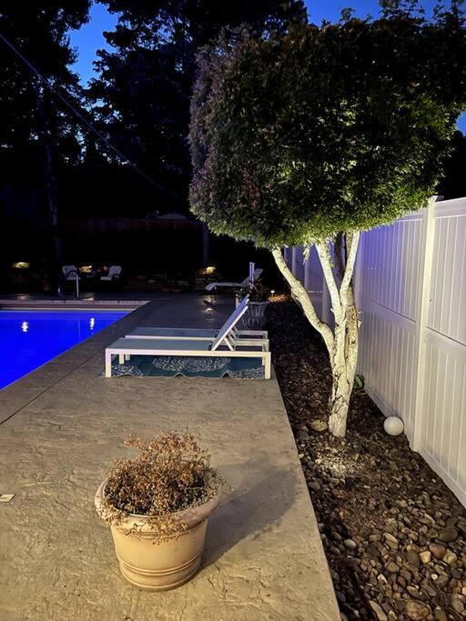 Spectacular Backyard Oasis Awaiting You
