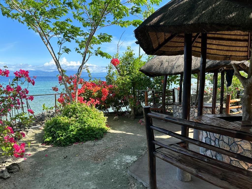 Nature Seaview