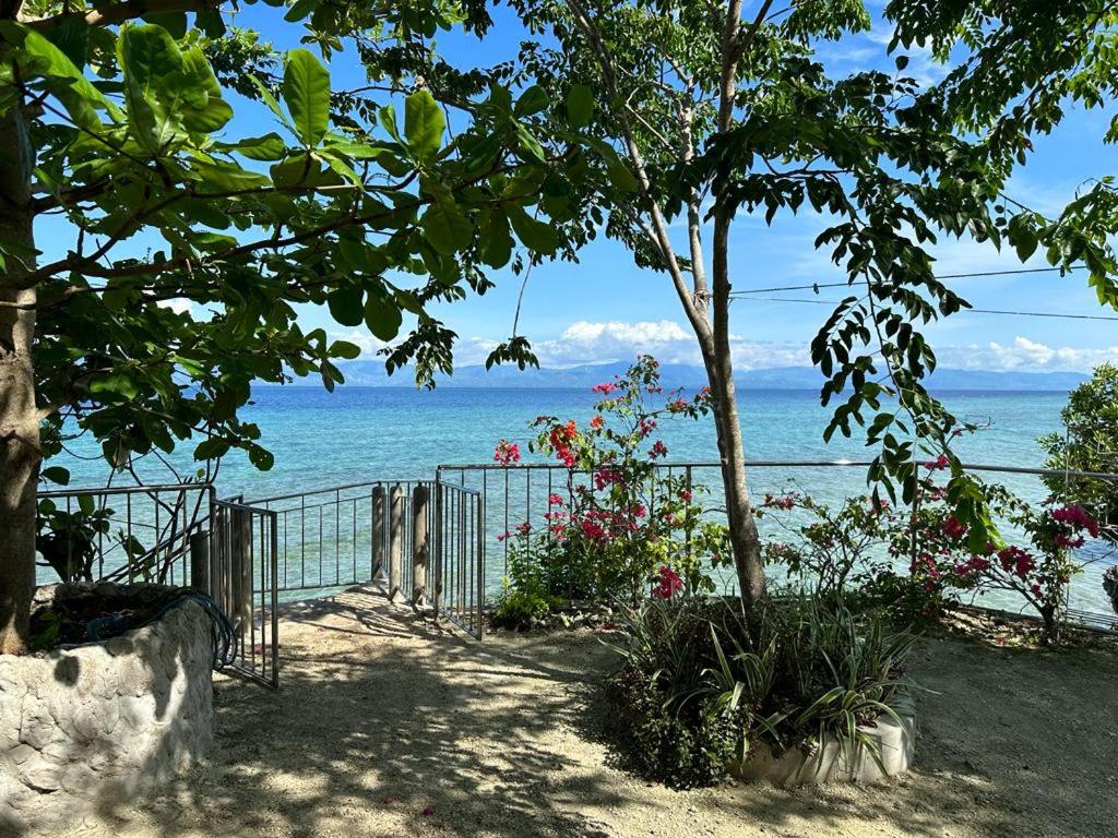 Nature Seaview
