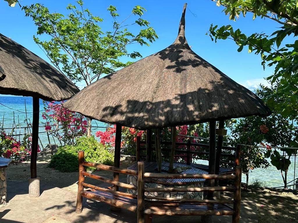 Nature Seaview