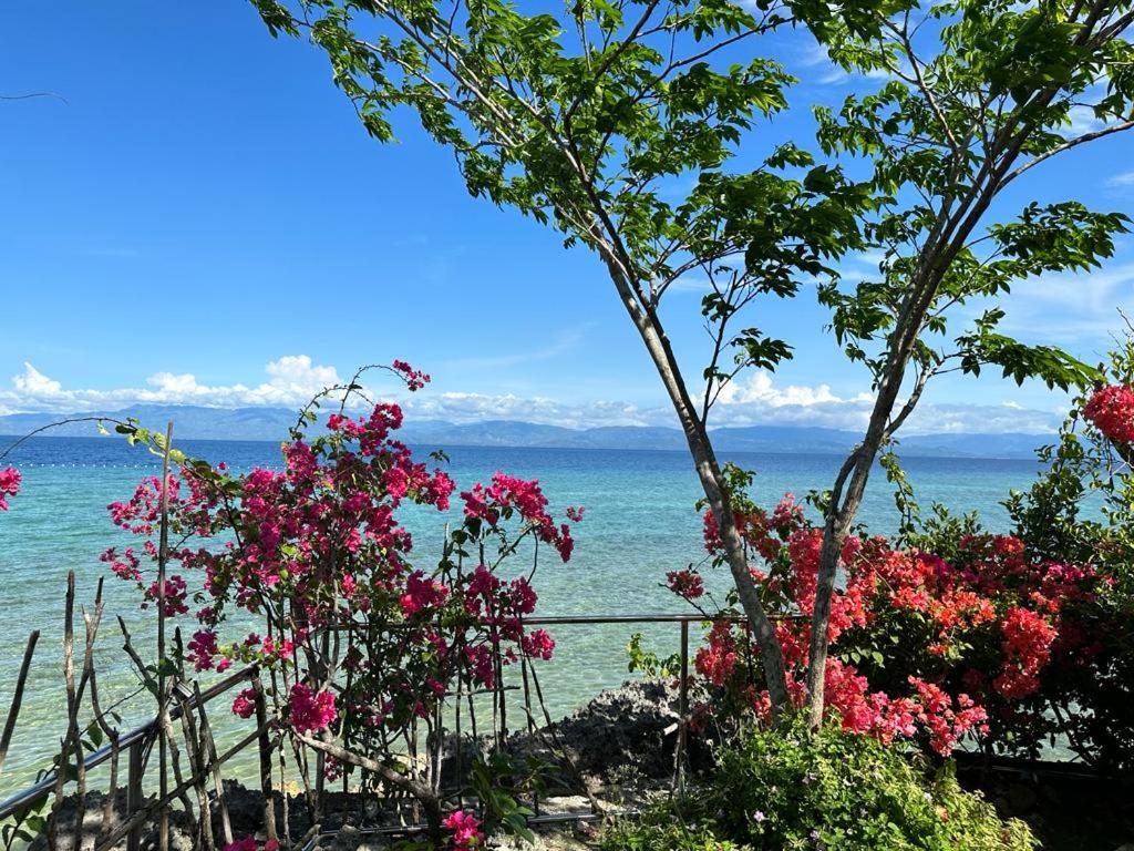 Nature Seaview