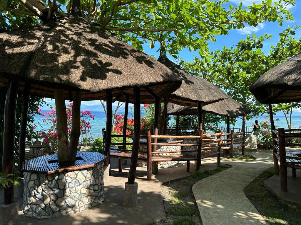 Nature Seaview