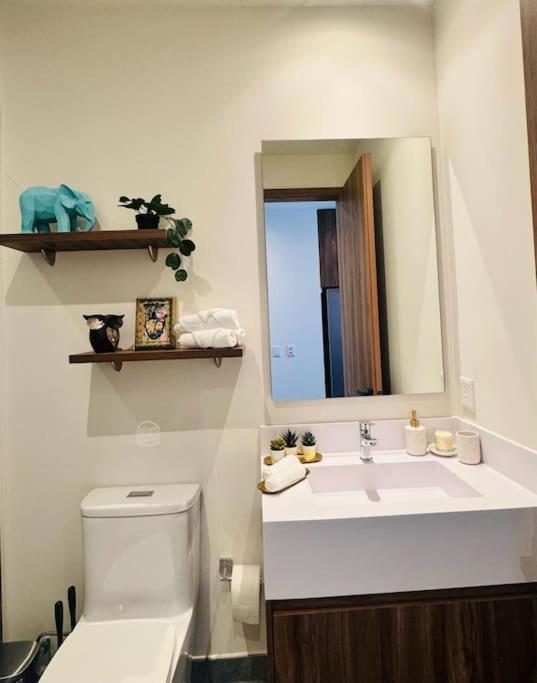 Luxury Loft in Reforma view 4