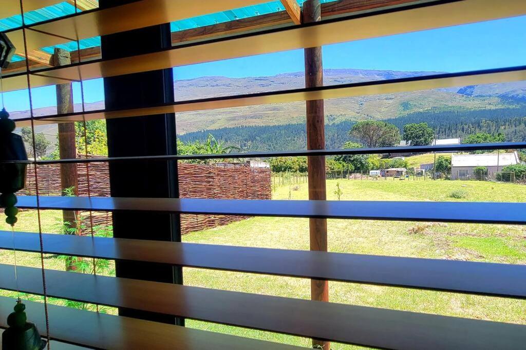 The Dreamcatcher's View view 4