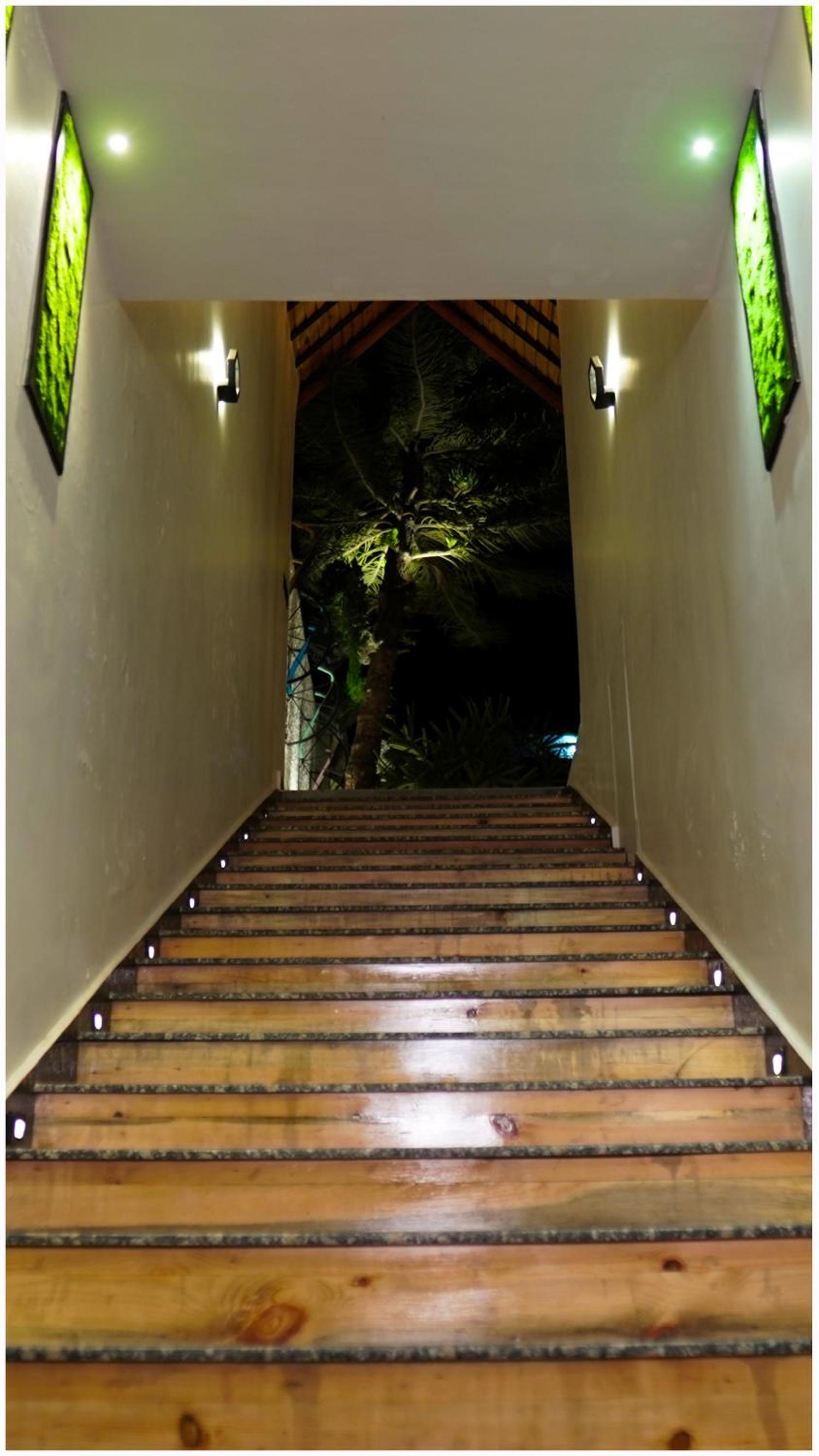 Photo 46