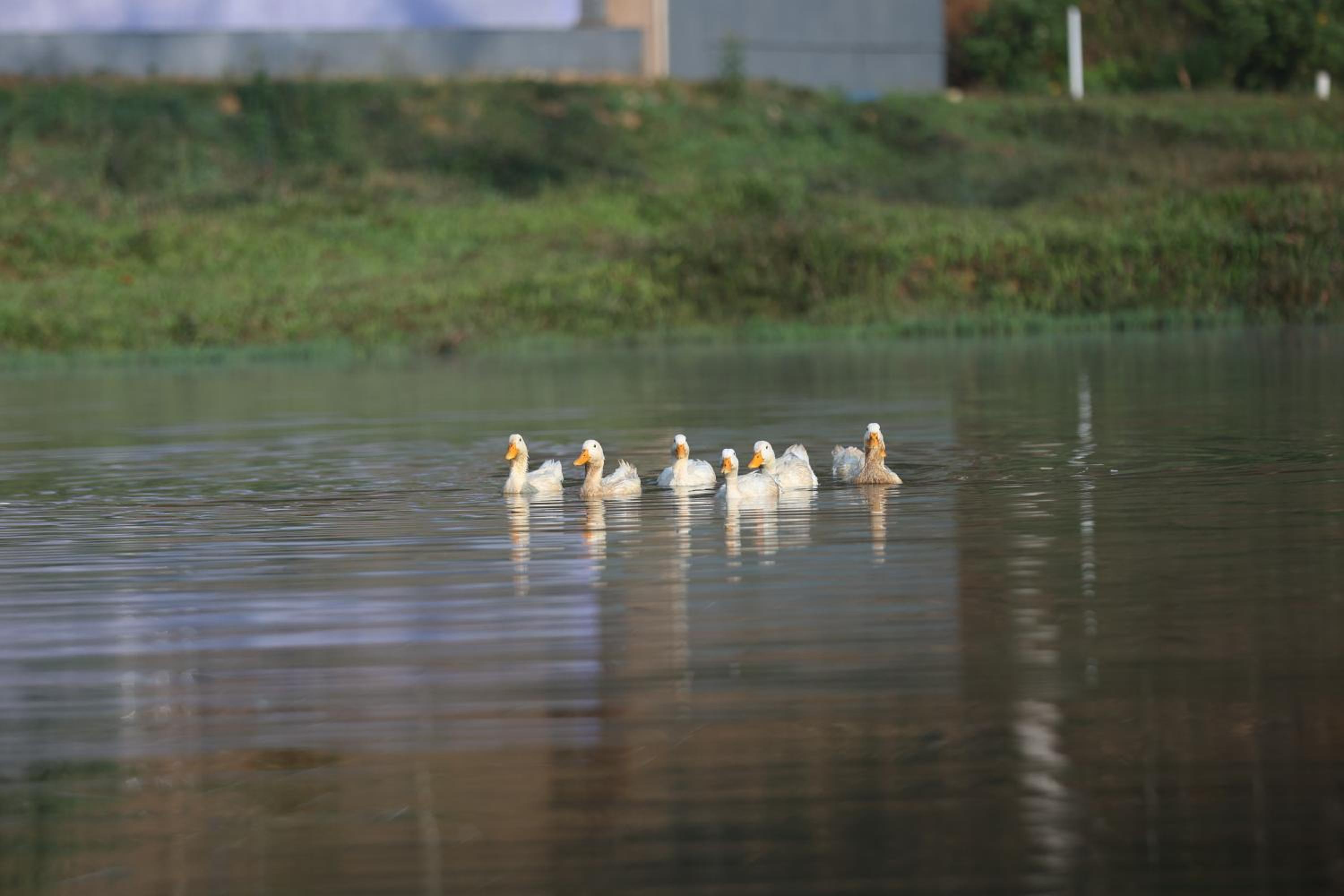 Three Hills Resort & Spa, Coorg