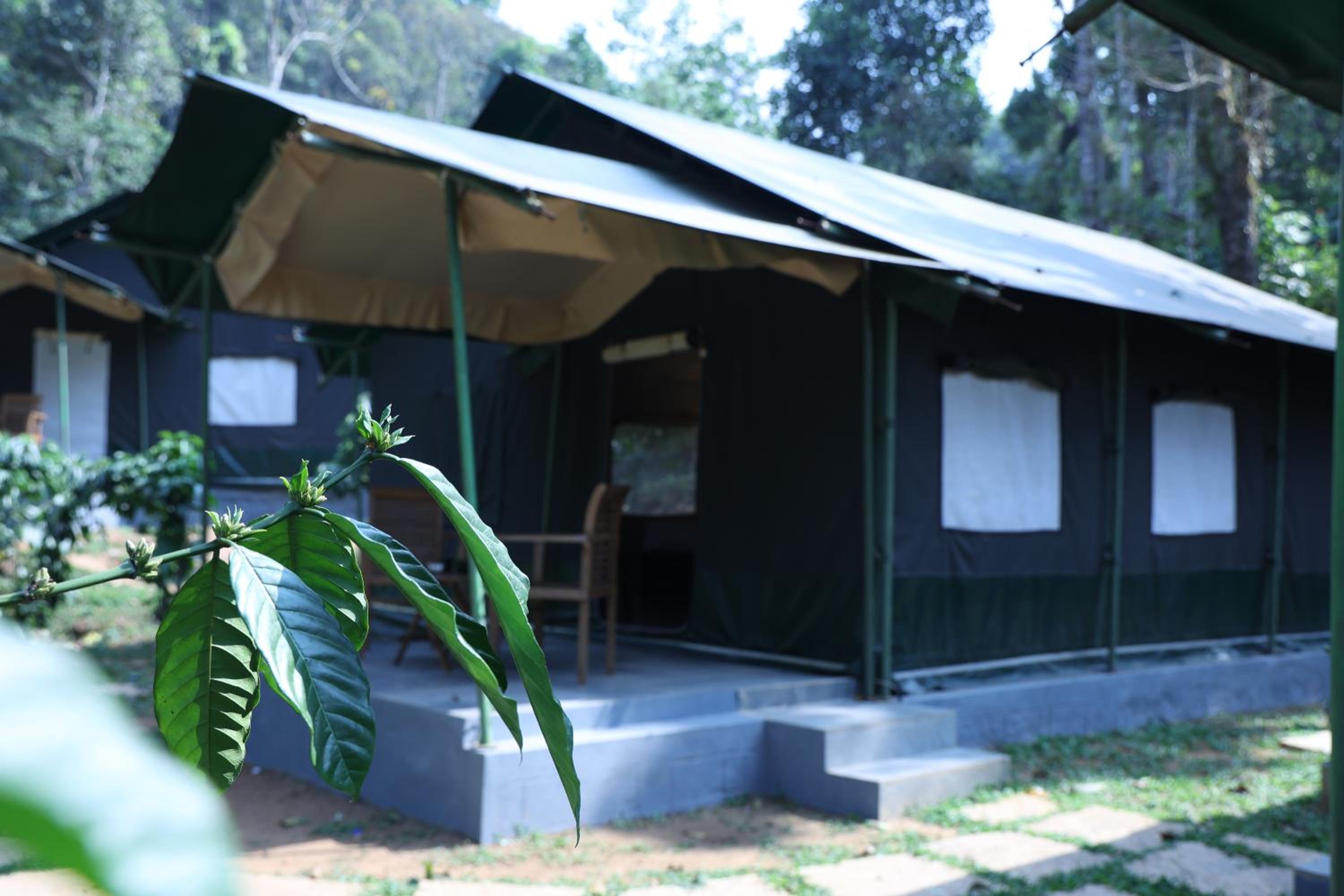 Three Hills Resort & Spa, Coorg