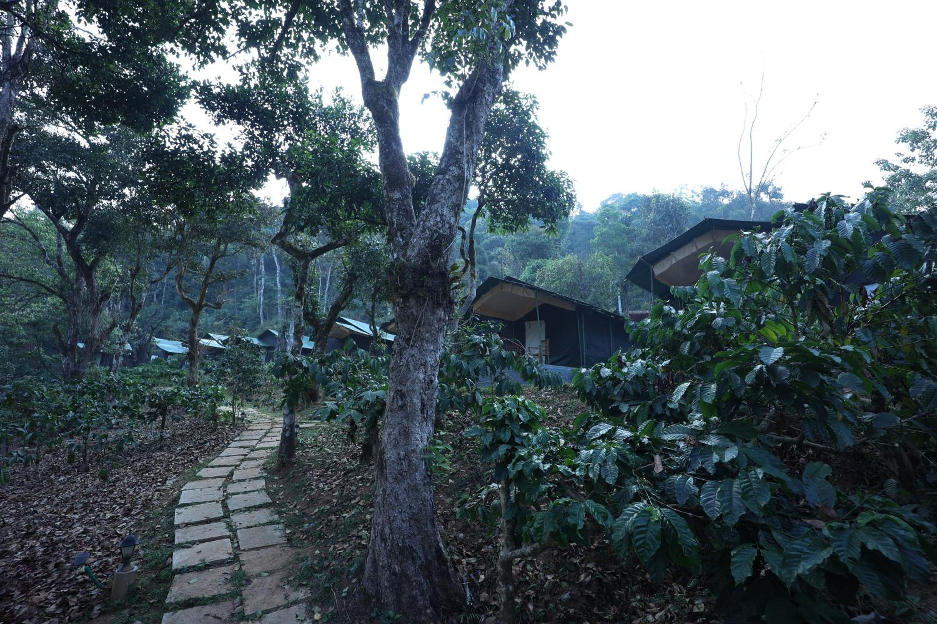 Three Hills Resort & Spa, Coorg