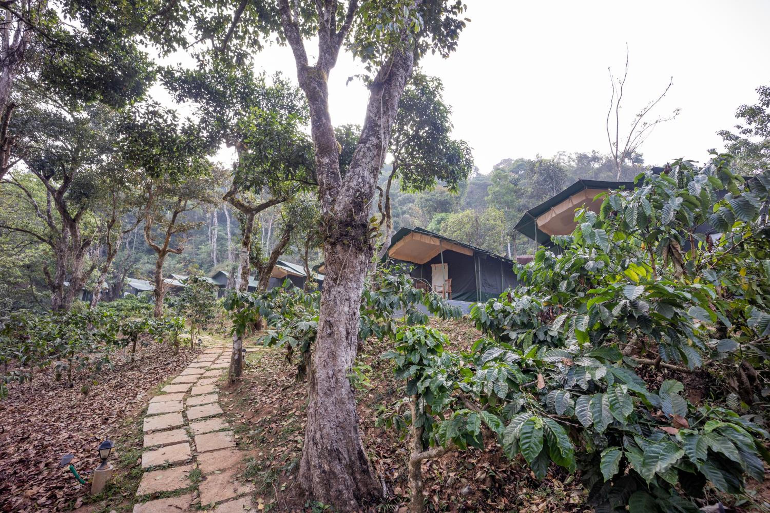 Three Hills Resort & Spa, Coorg