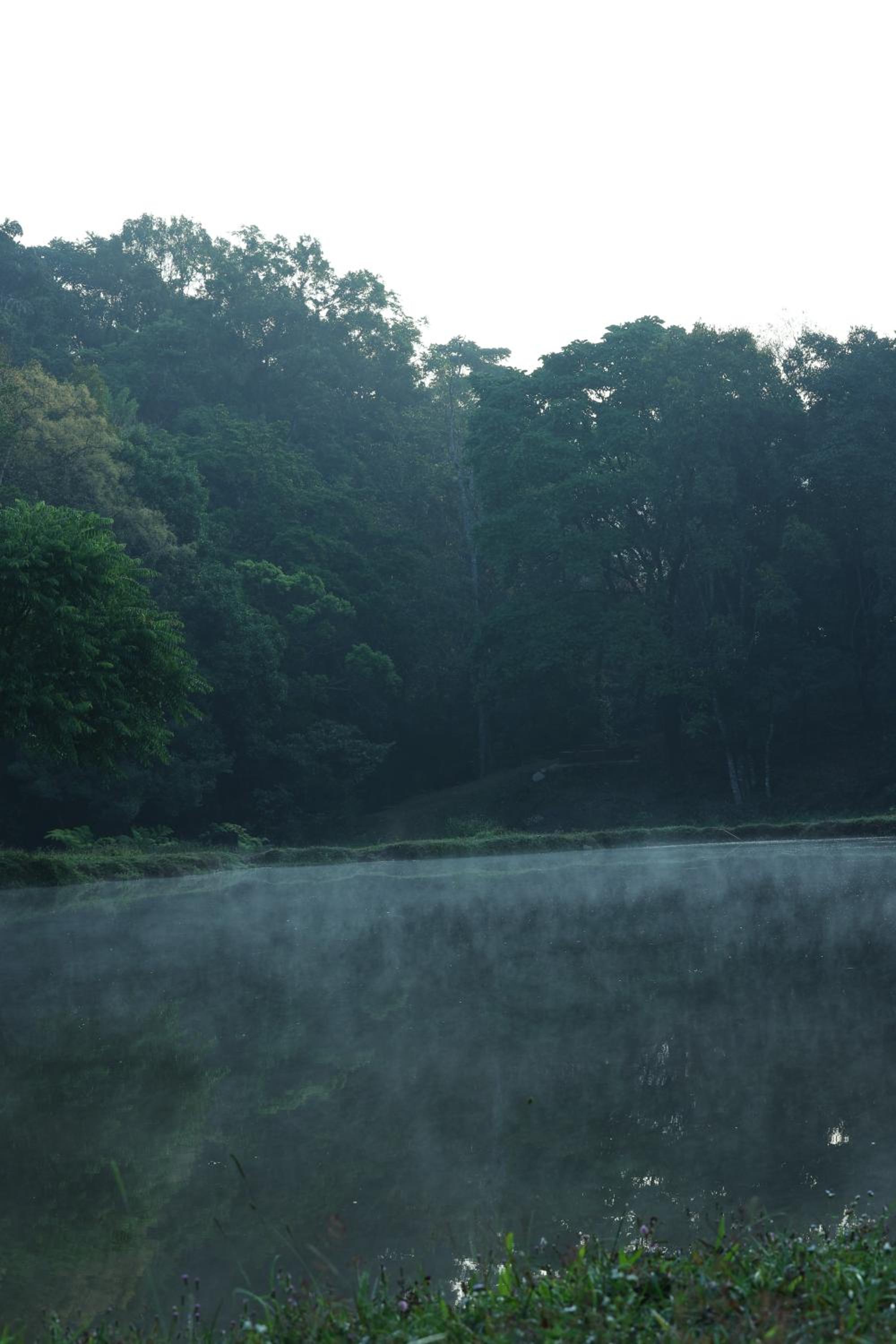 Three Hills Resort & Spa, Coorg