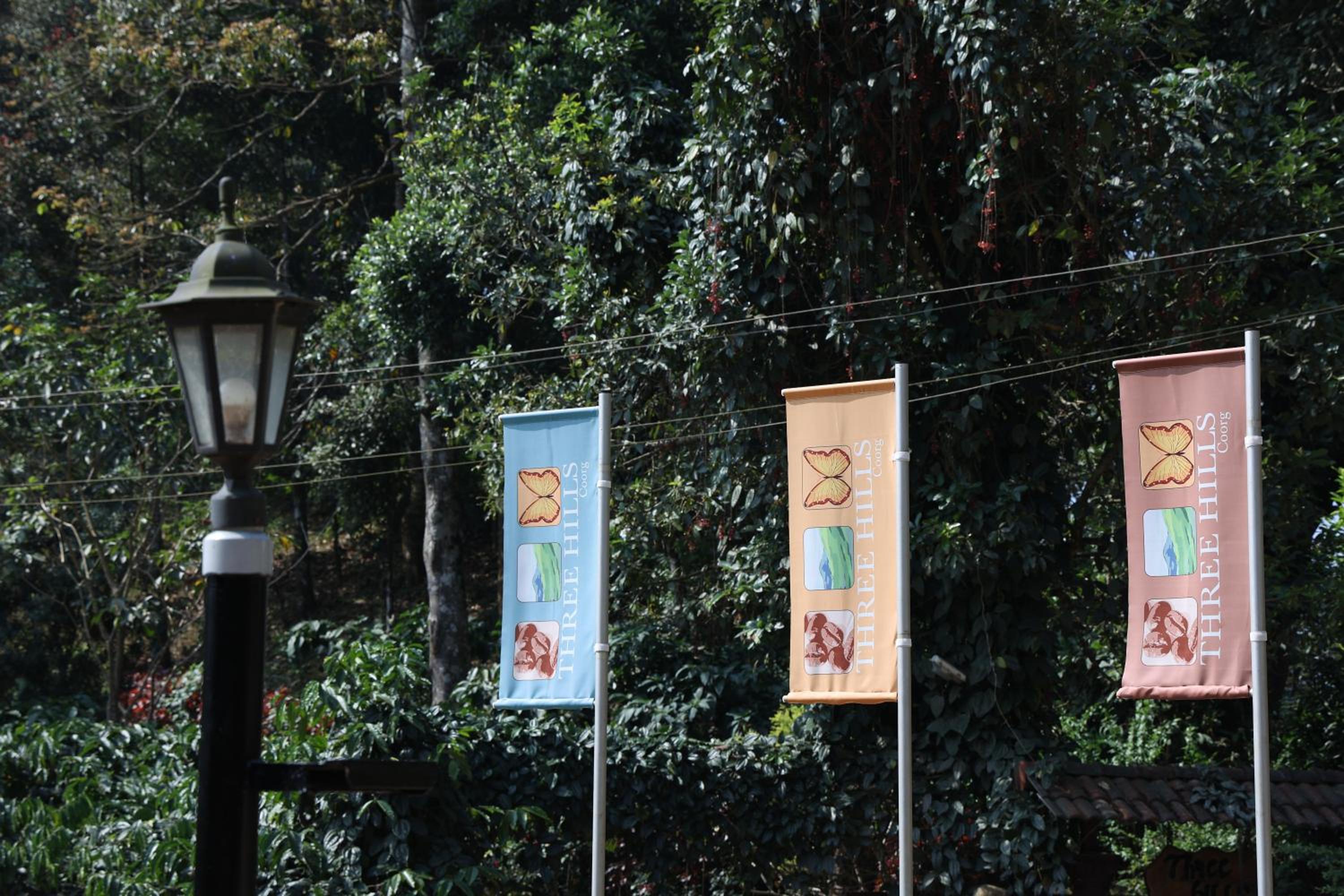 Three Hills Resort & Spa, Coorg