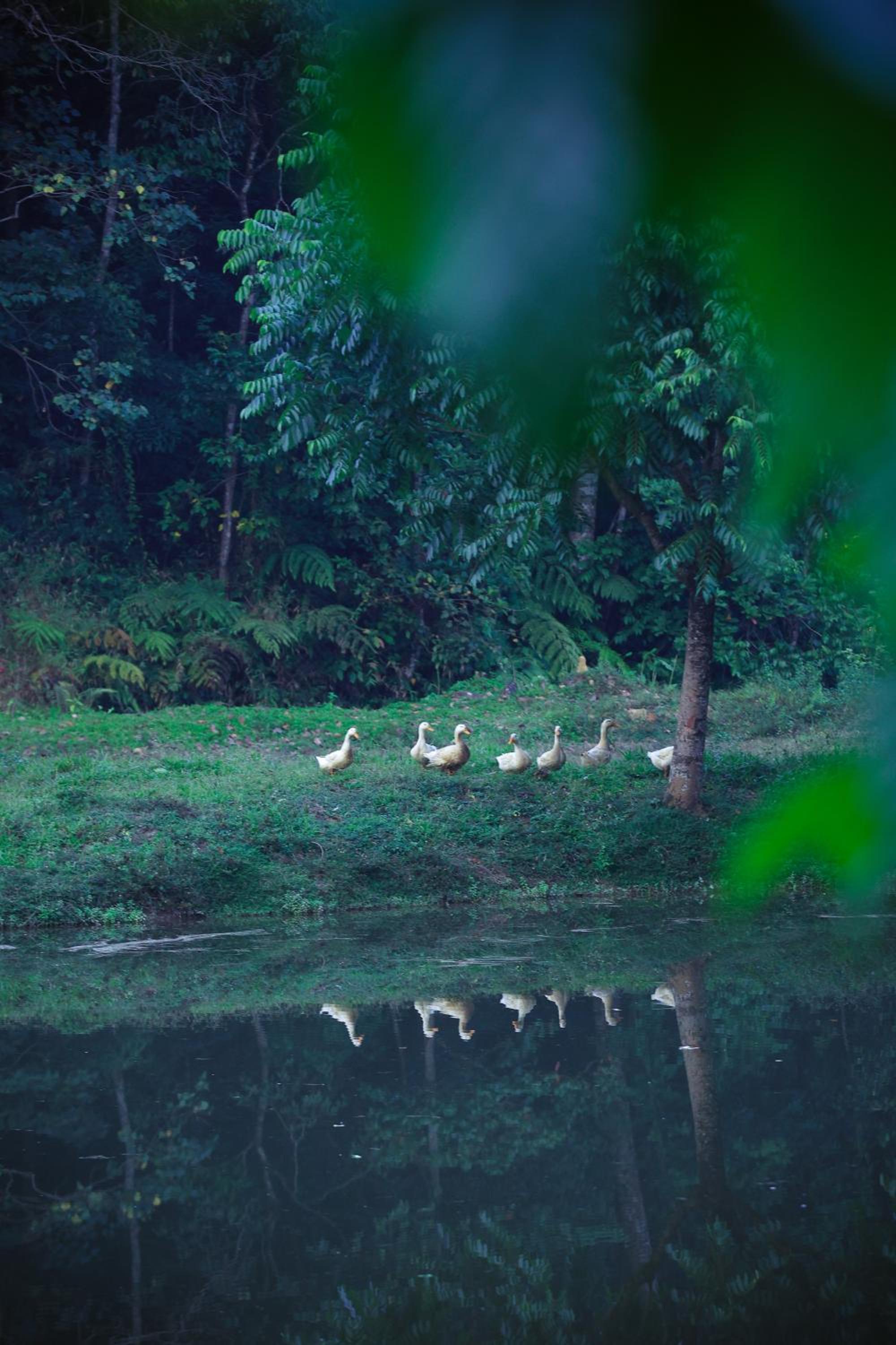 Three Hills Resort & Spa, Coorg